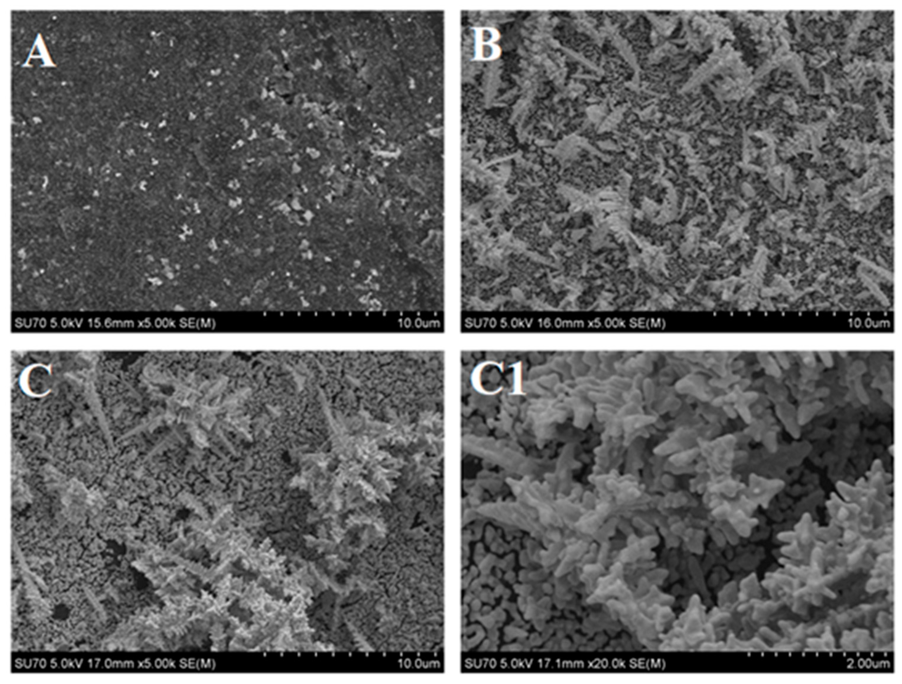 Chemosensors 09 00188 g001