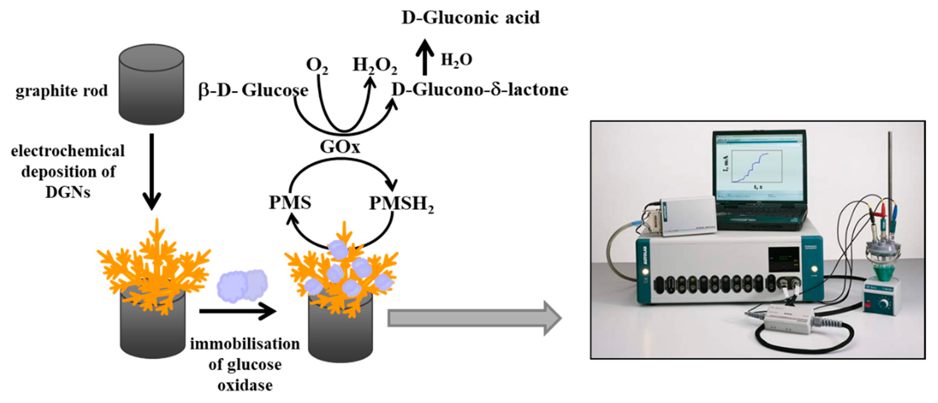 Chemosensors 09 00188 sch001