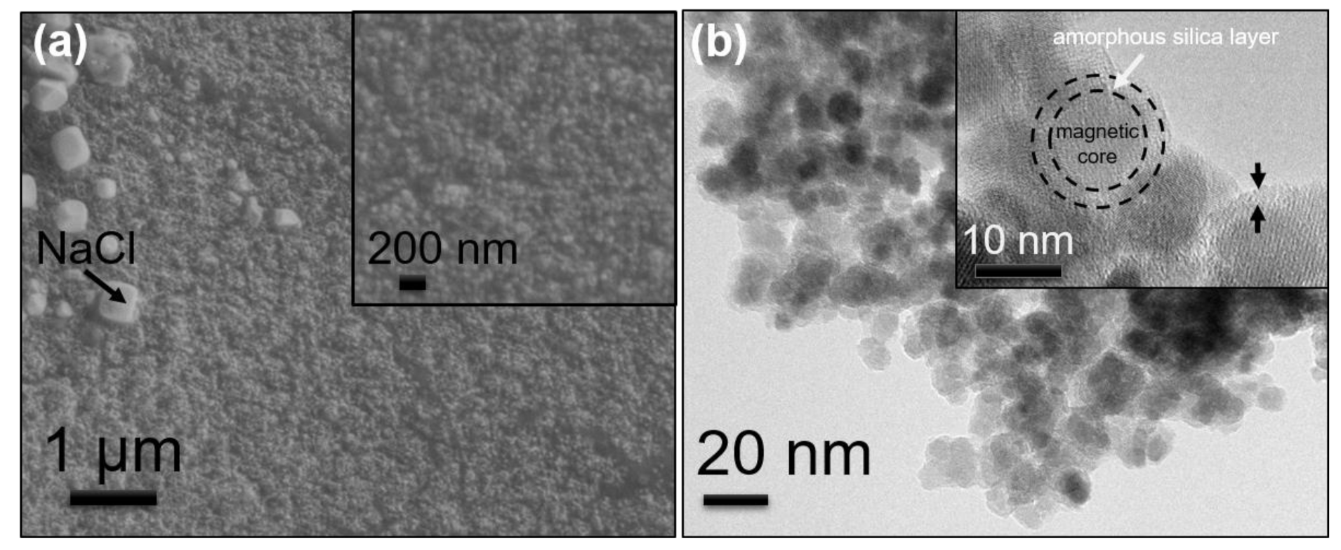 Chemosensors 09 00189 g004