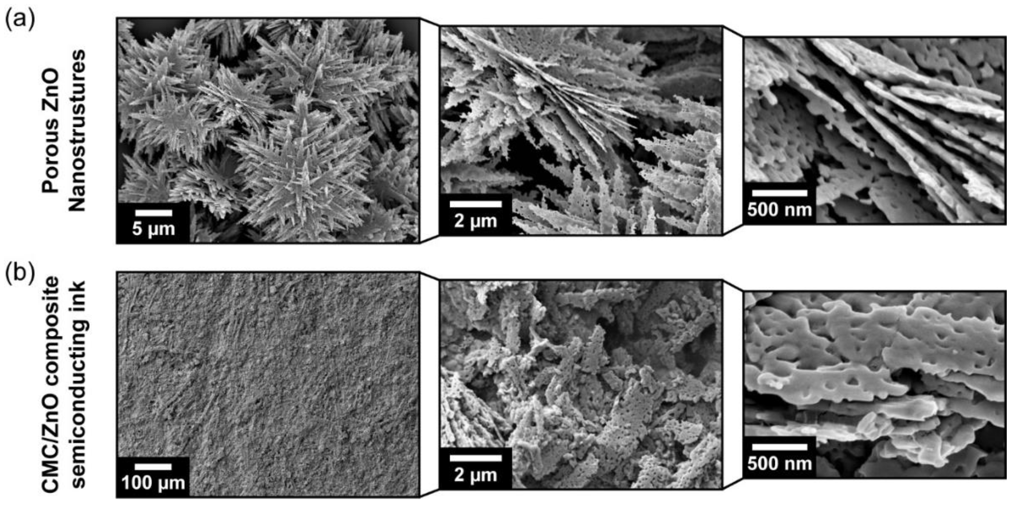 Chemosensors 09 00192 g002