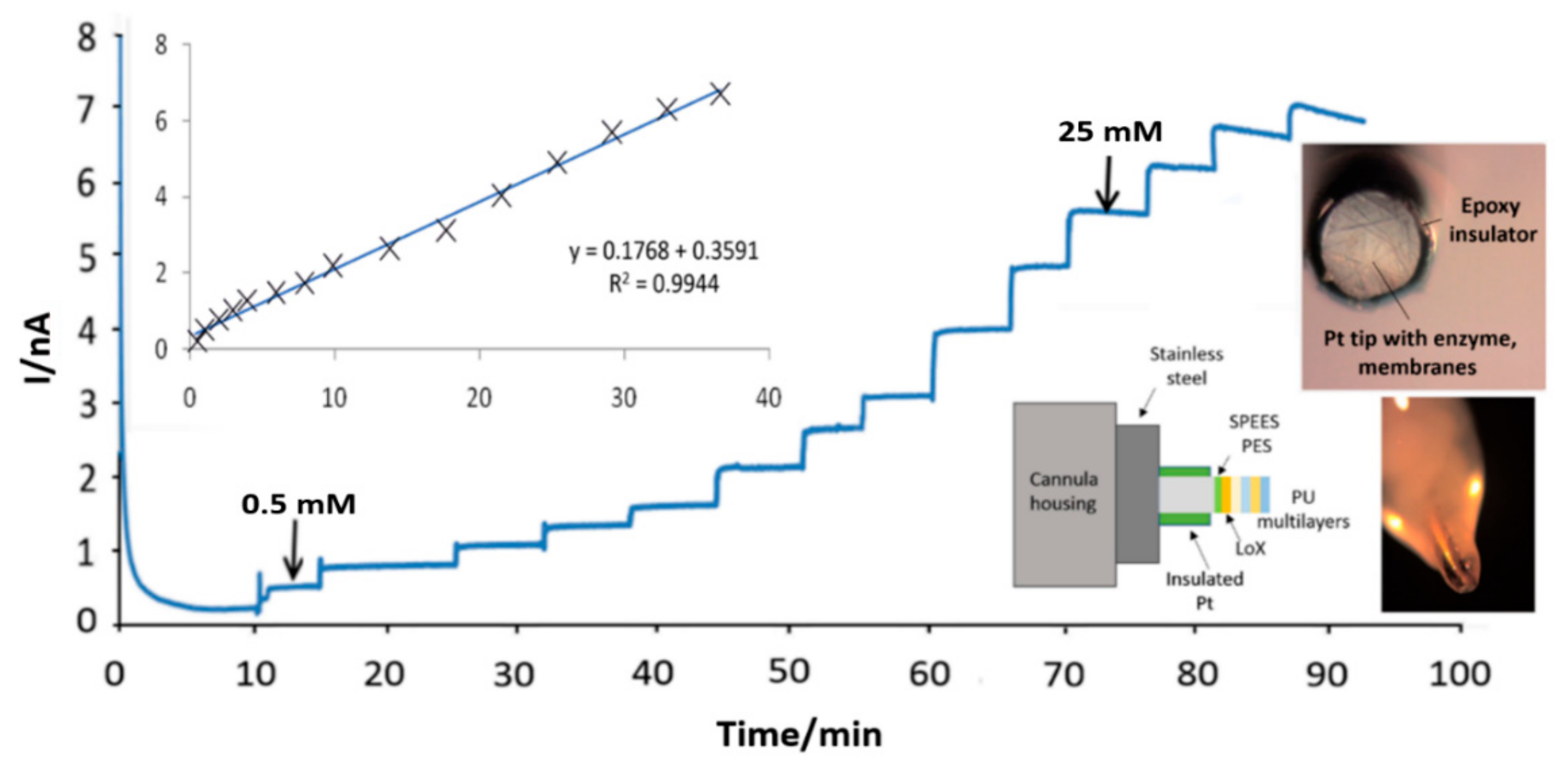 Chemosensors 09 00195 g004 Chemosensors 09 00195 g004
