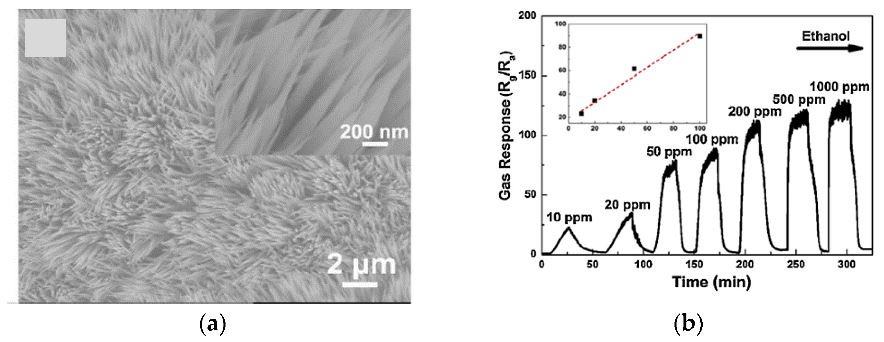 Chemosensors 09 00197 g012 Chemosensors 09 00197 g012