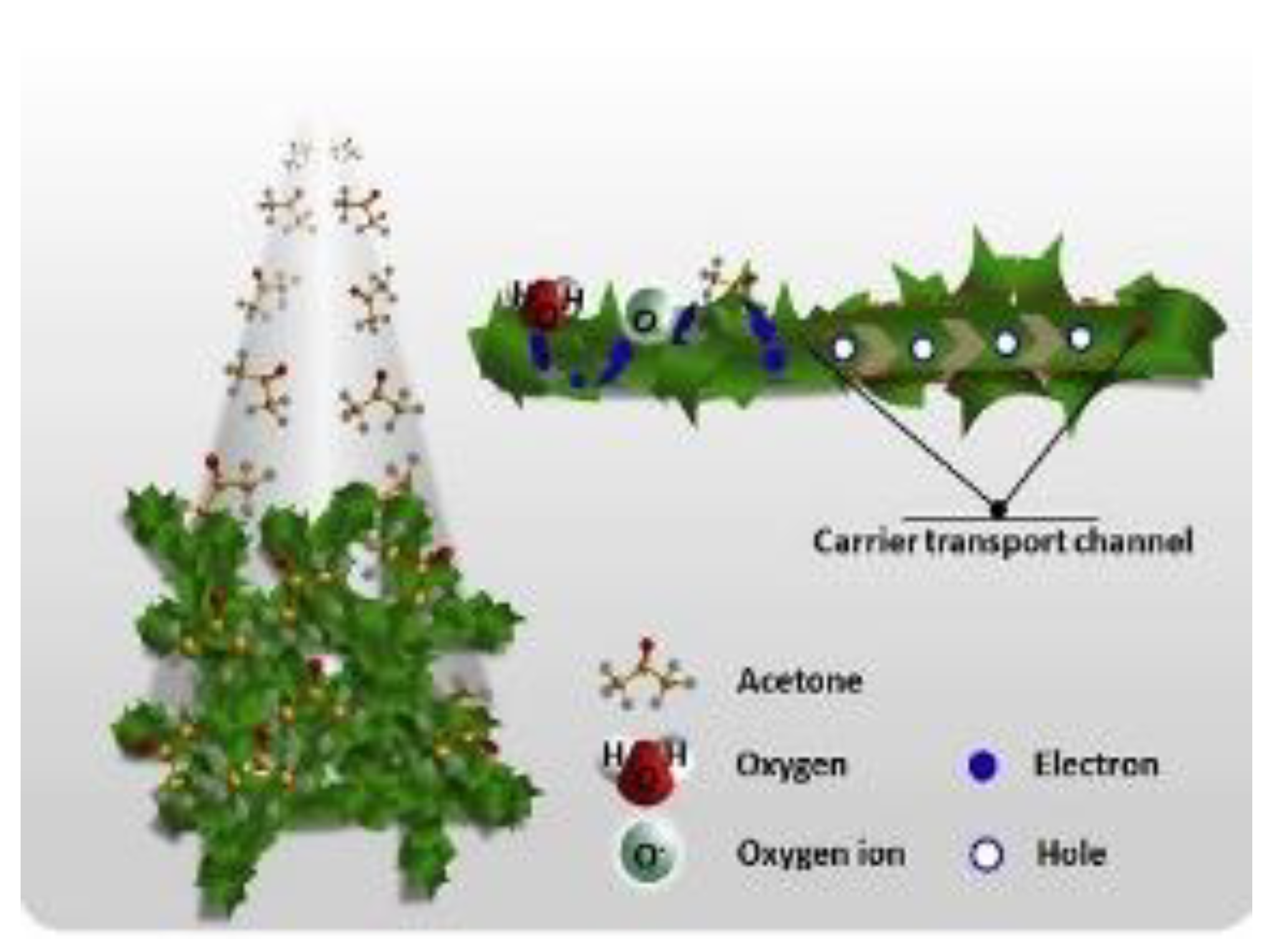 Chemosensors 09 00197 g013 Chemosensors 09 00197 g013