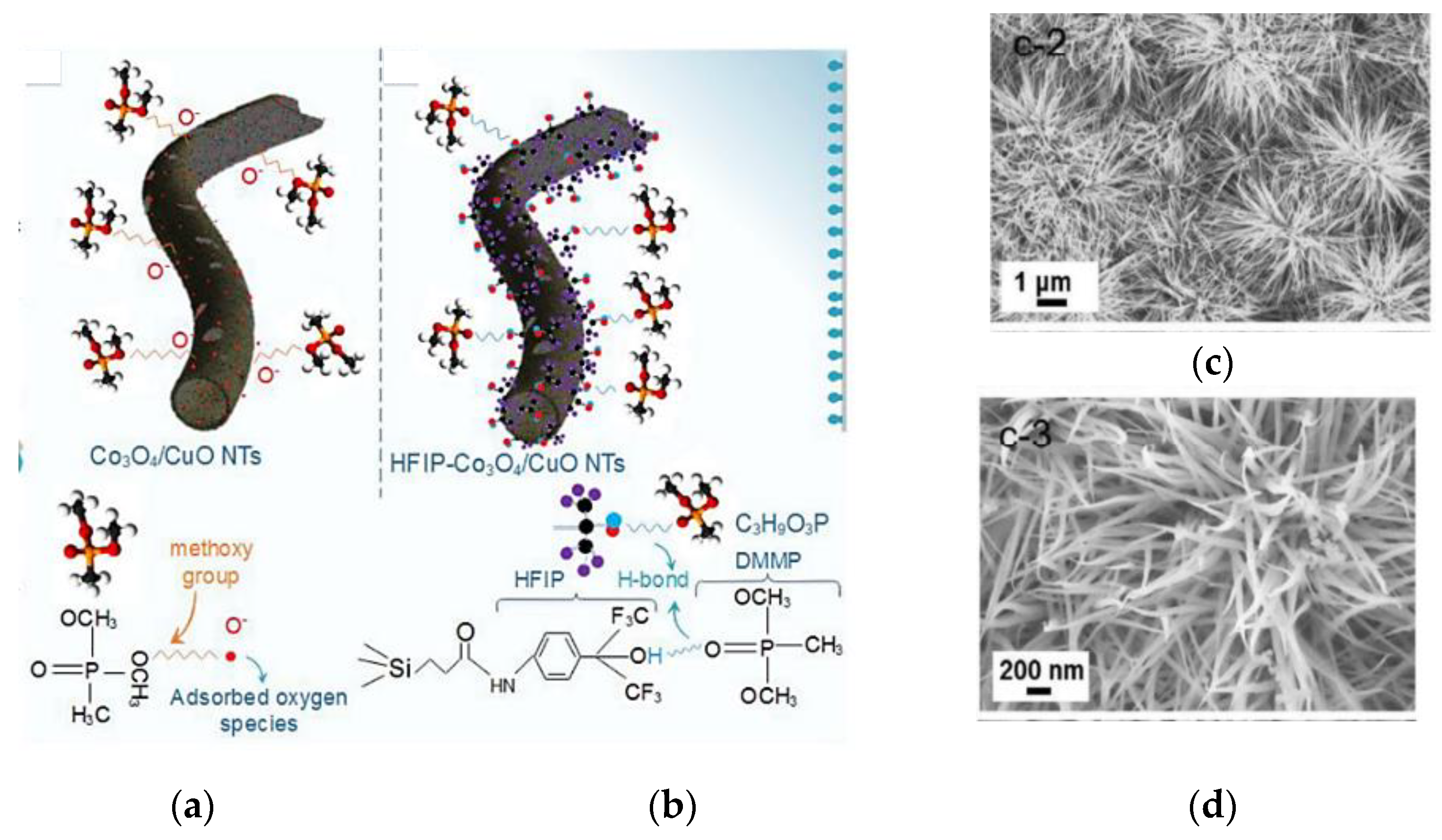 Chemosensors 09 00197 g022 Chemosensors 09 00197 g022