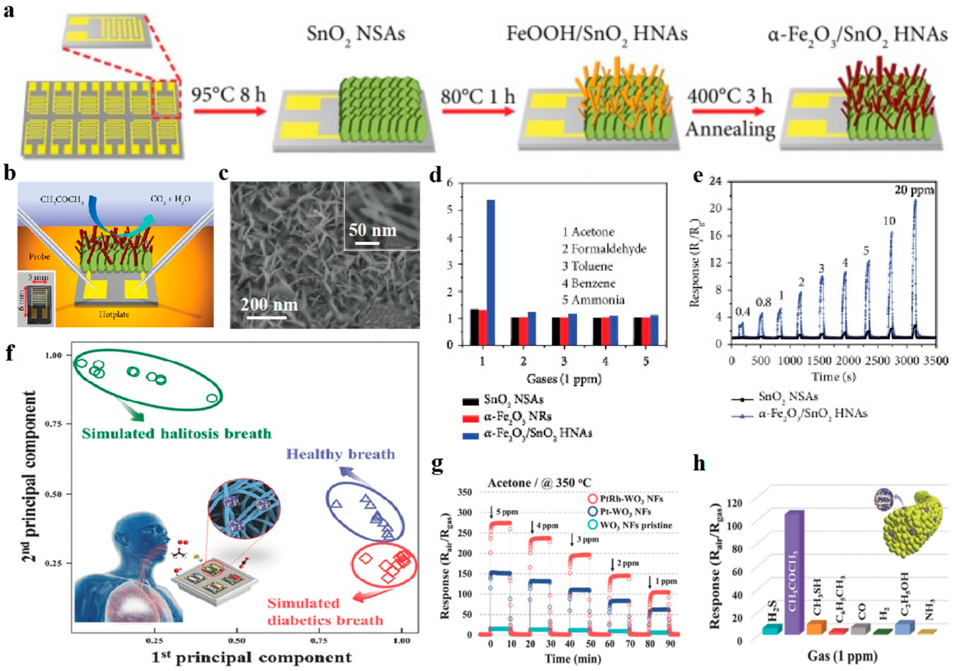 Chemosensors 09 00198 g011