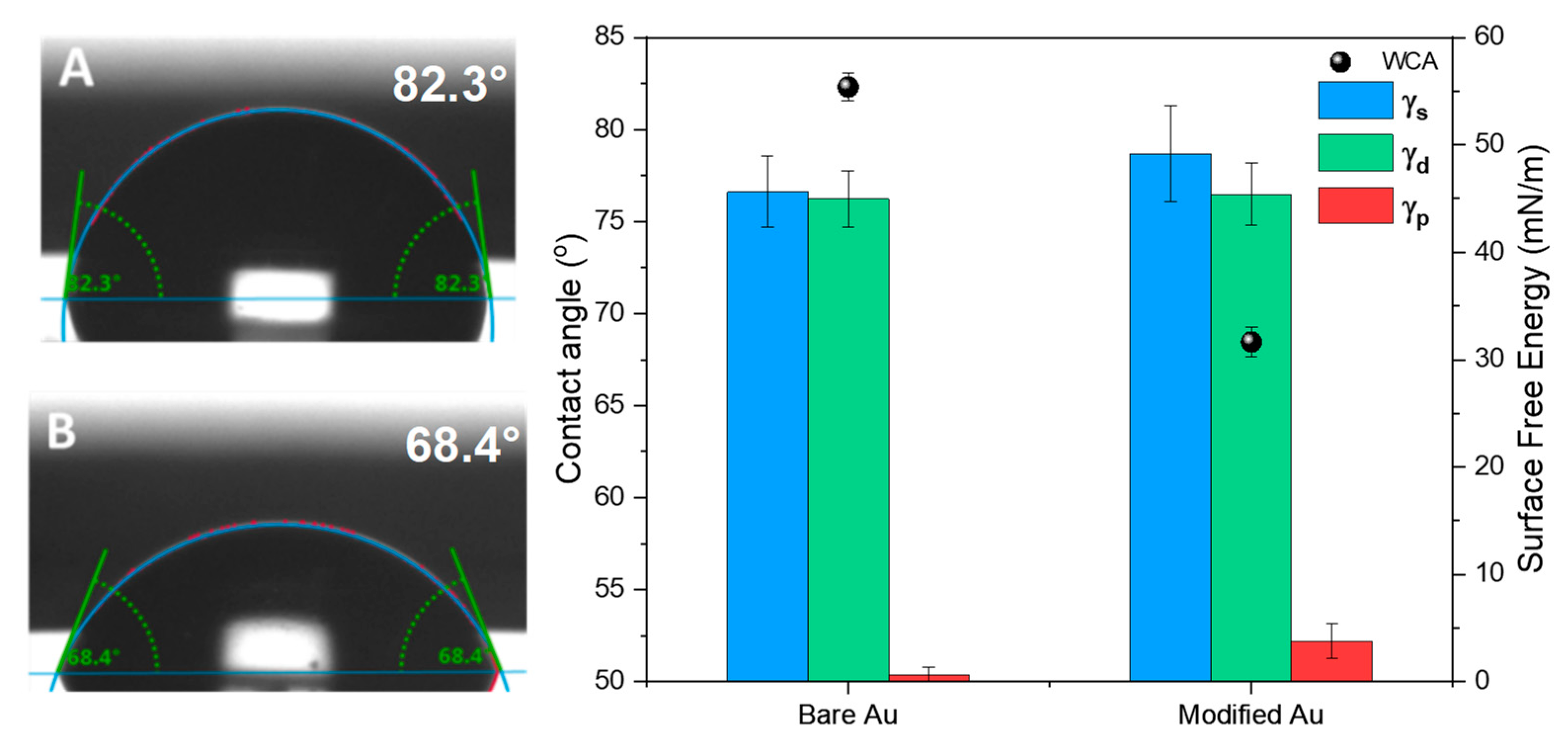 Chemosensors 09 00199 g004 550