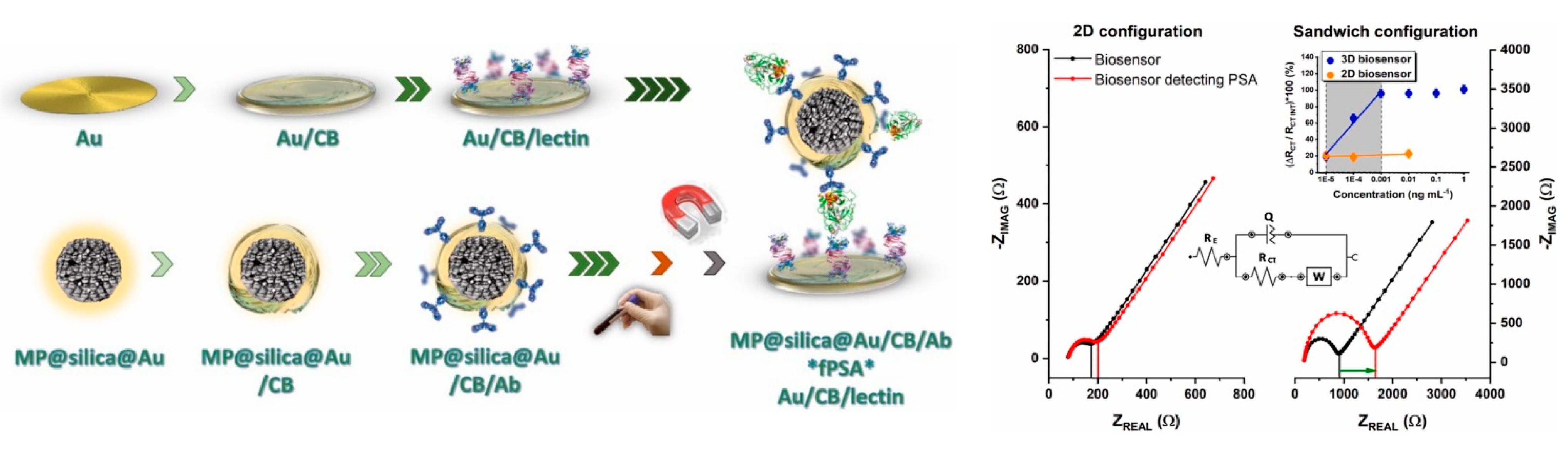 Chemosensors 09 00205 g010 Chemosensors 09 00205 g010