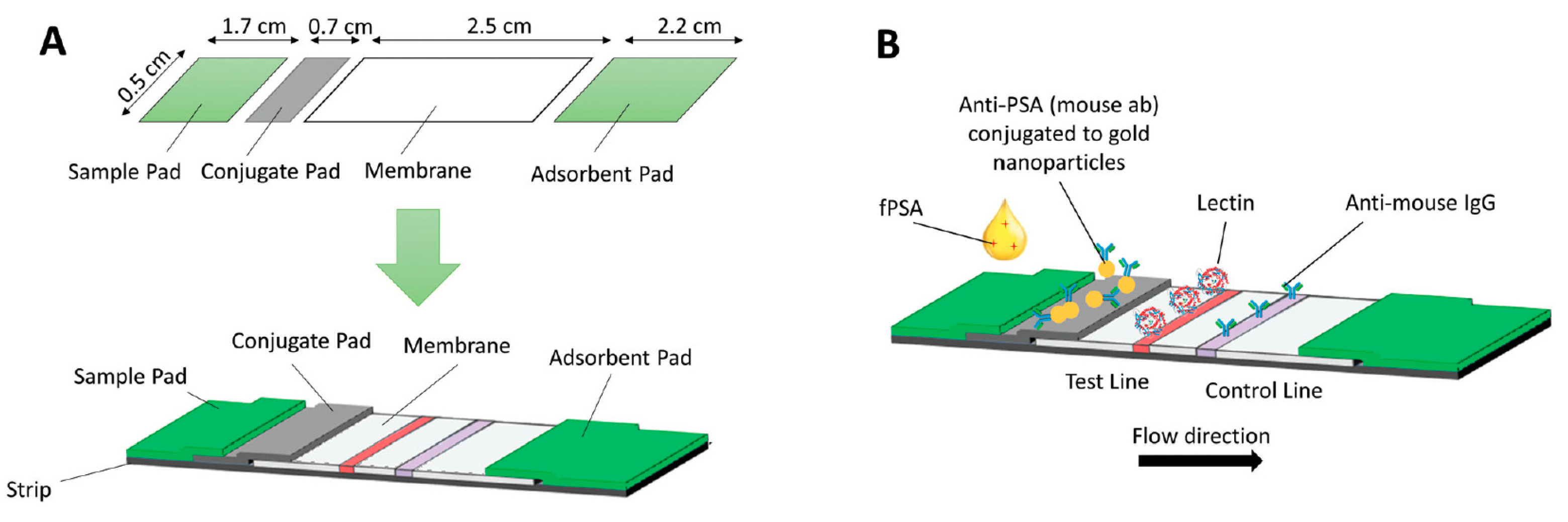 Chemosensors 09 00205 g011 Chemosensors 09 00205 g011