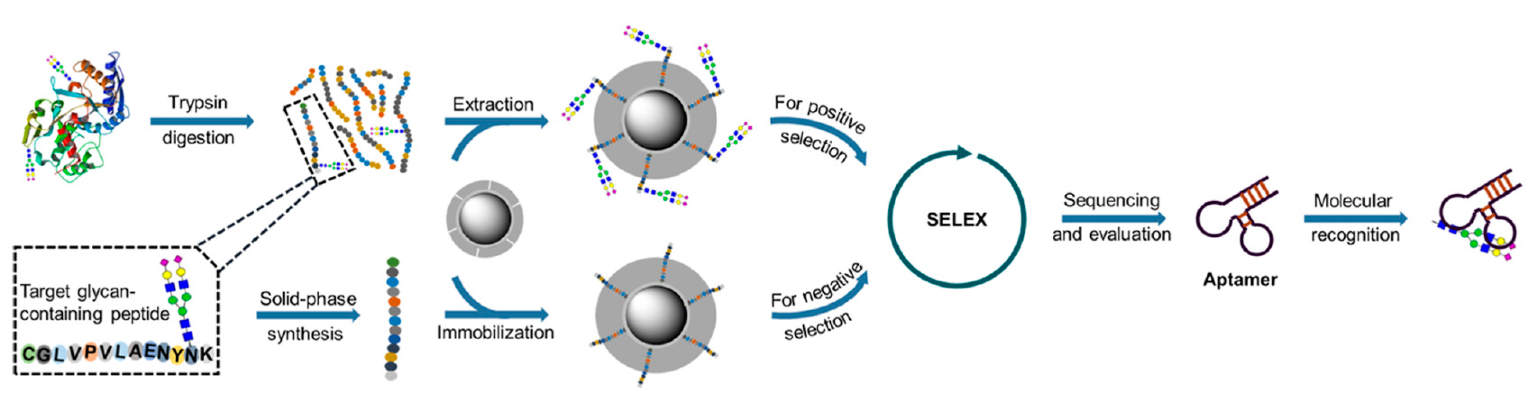 Chemosensors 09 00205 g017 Chemosensors 09 00205 g017