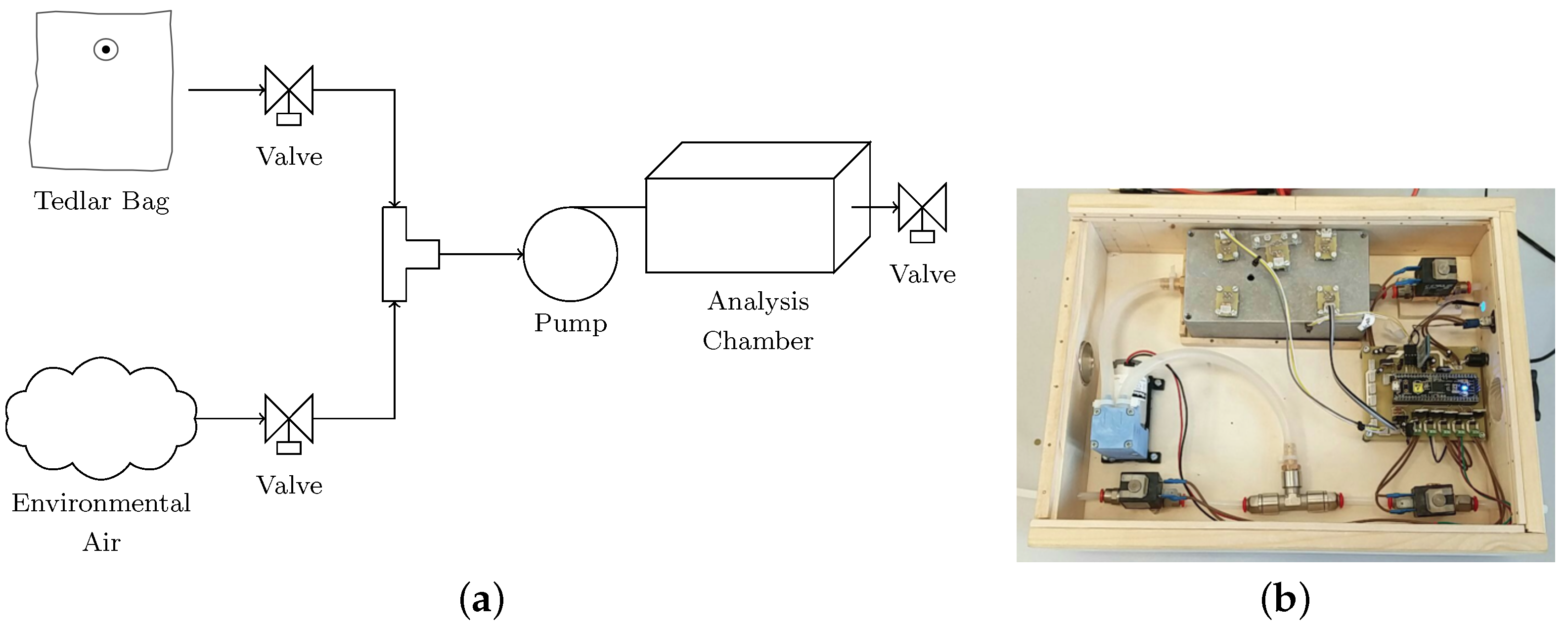 Chemosensors 09 00209 g002 550
