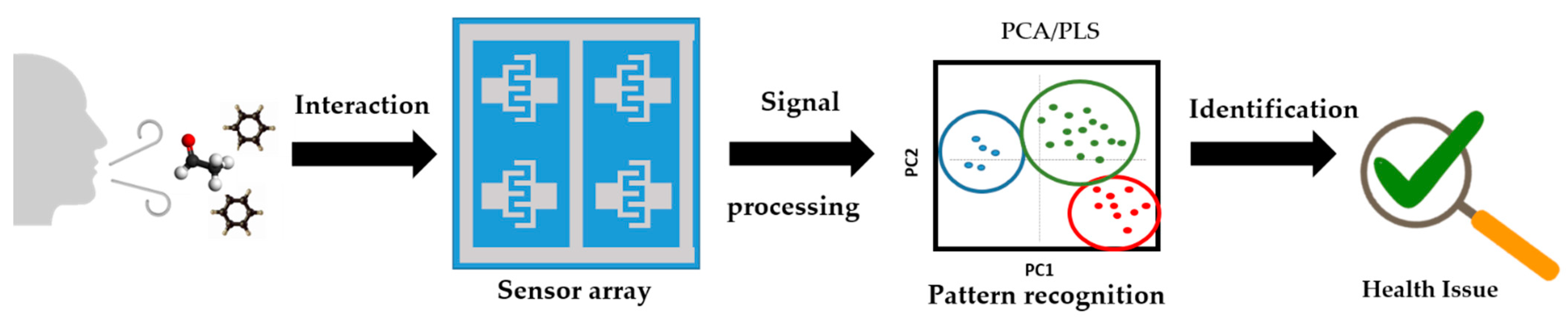 Chemosensors 09 00215 g001
