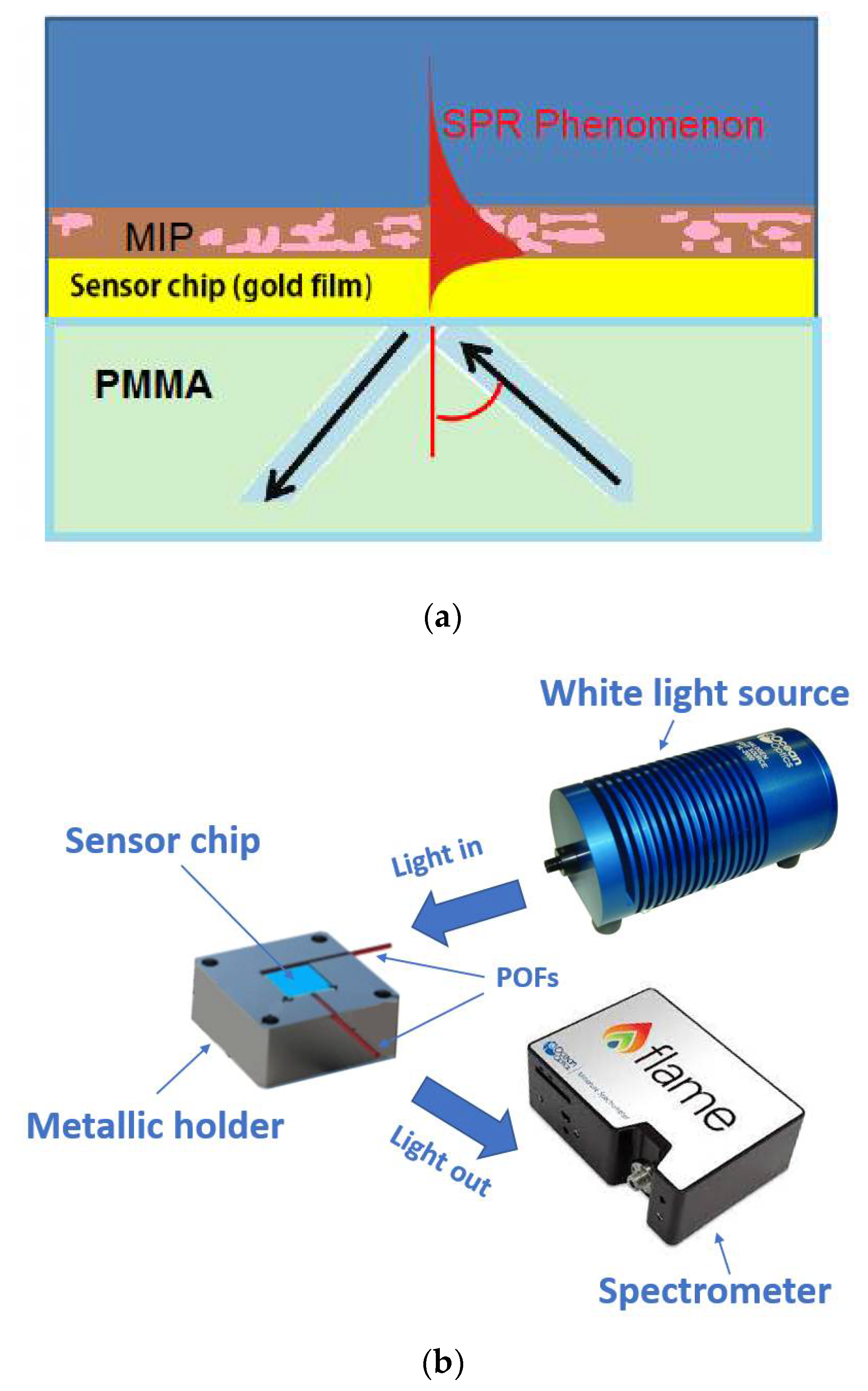 Chemosensors 09 00218 g001
