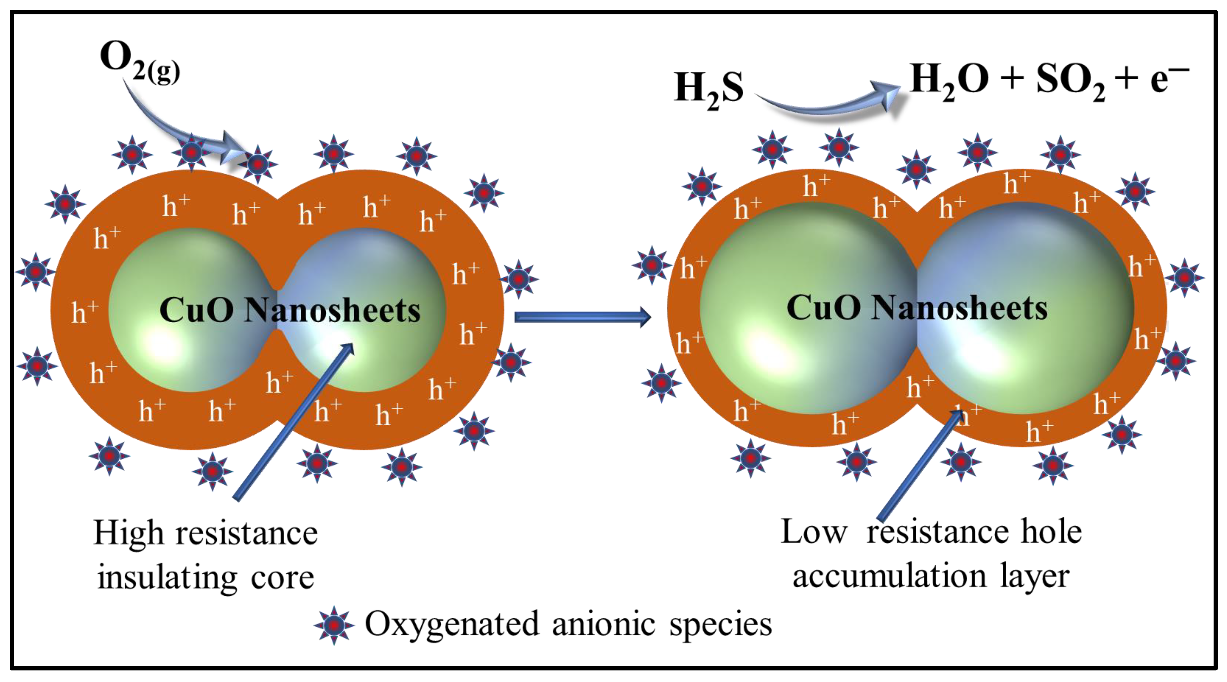 Chemosensors 09 00221 g008