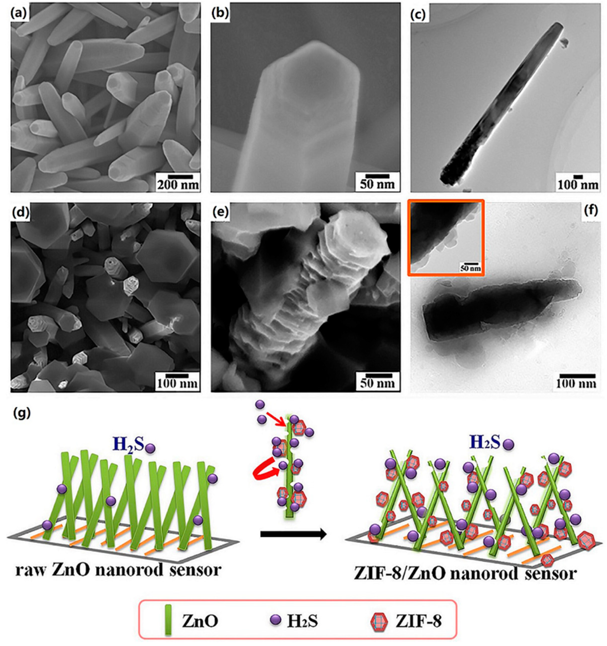 Chemosensors 09 00226 g003