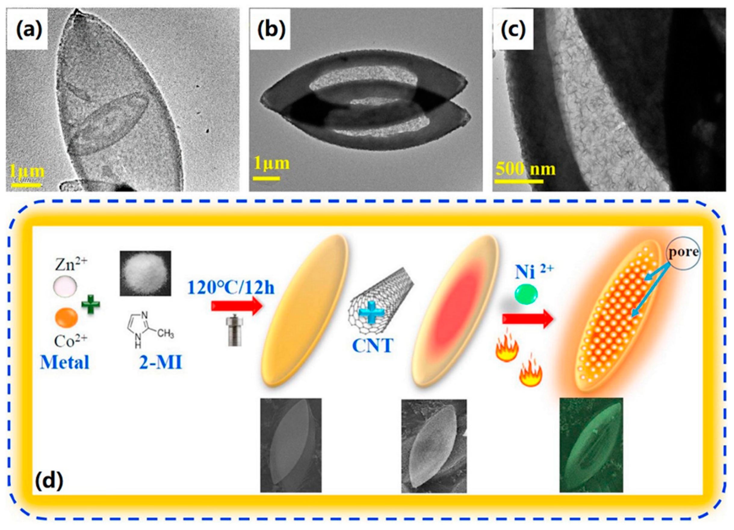Chemosensors 09 00226 g014