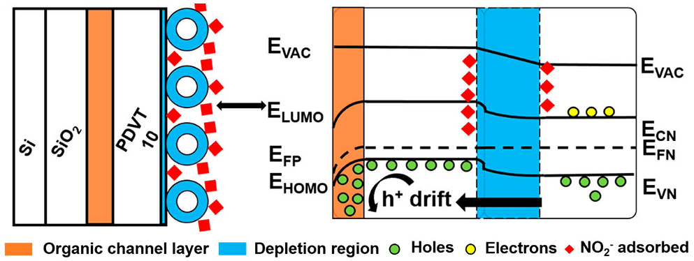Chemosensors 09 00226 g029