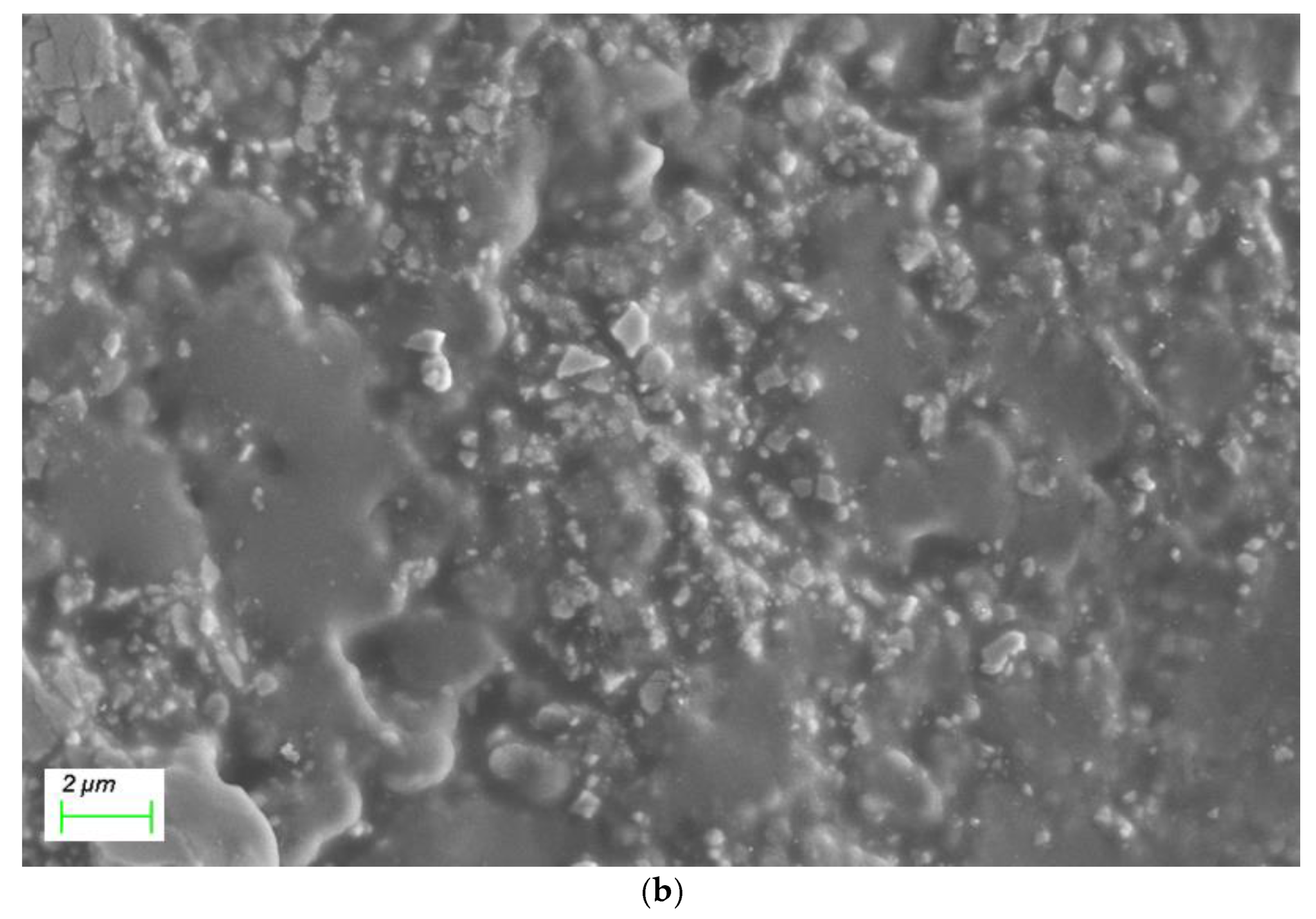 Chemosensors 09 00236 g002b 550