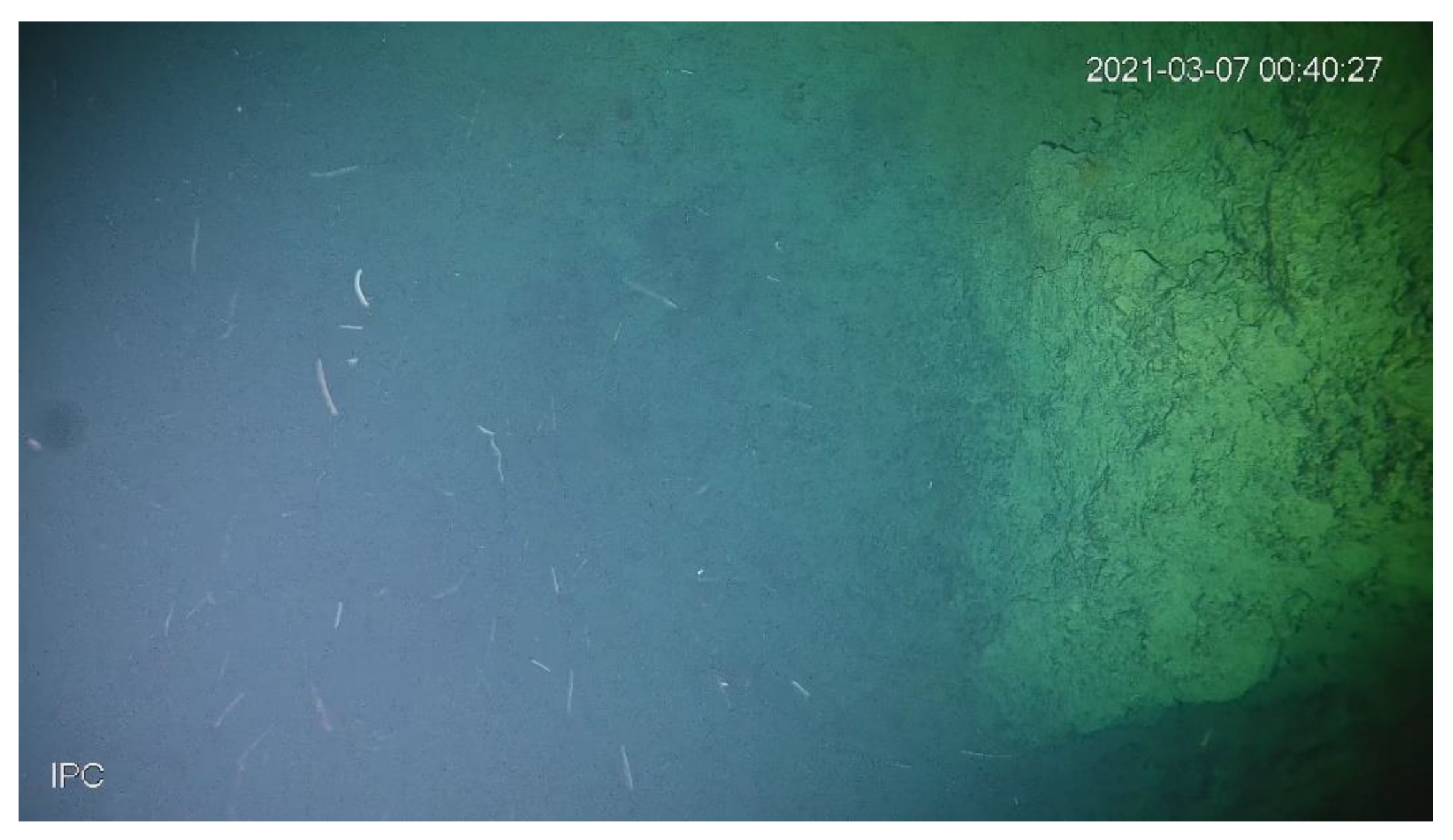 Chemosensors 09 00236 g007 550