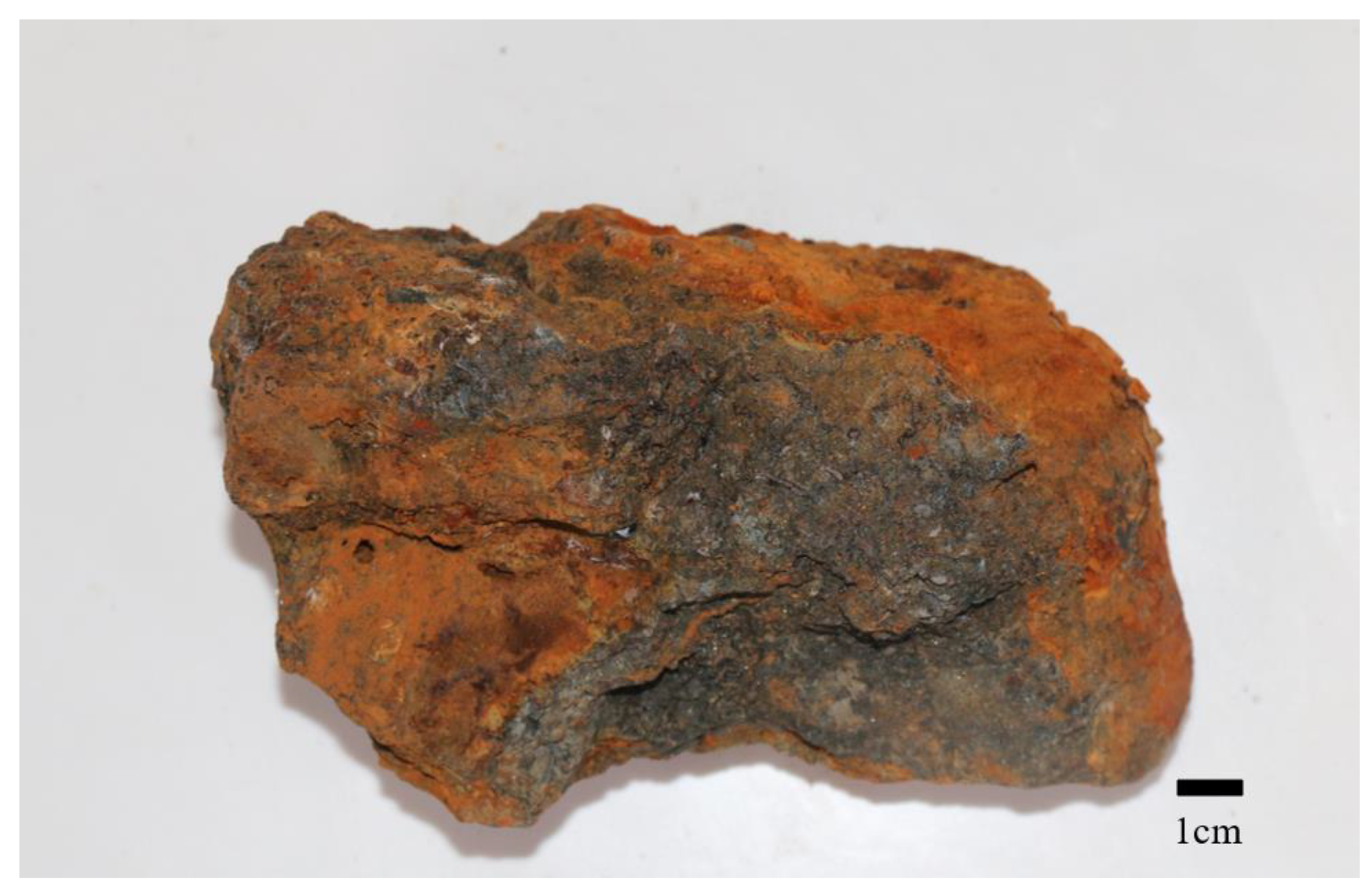 Chemosensors 09 00236 g008 550