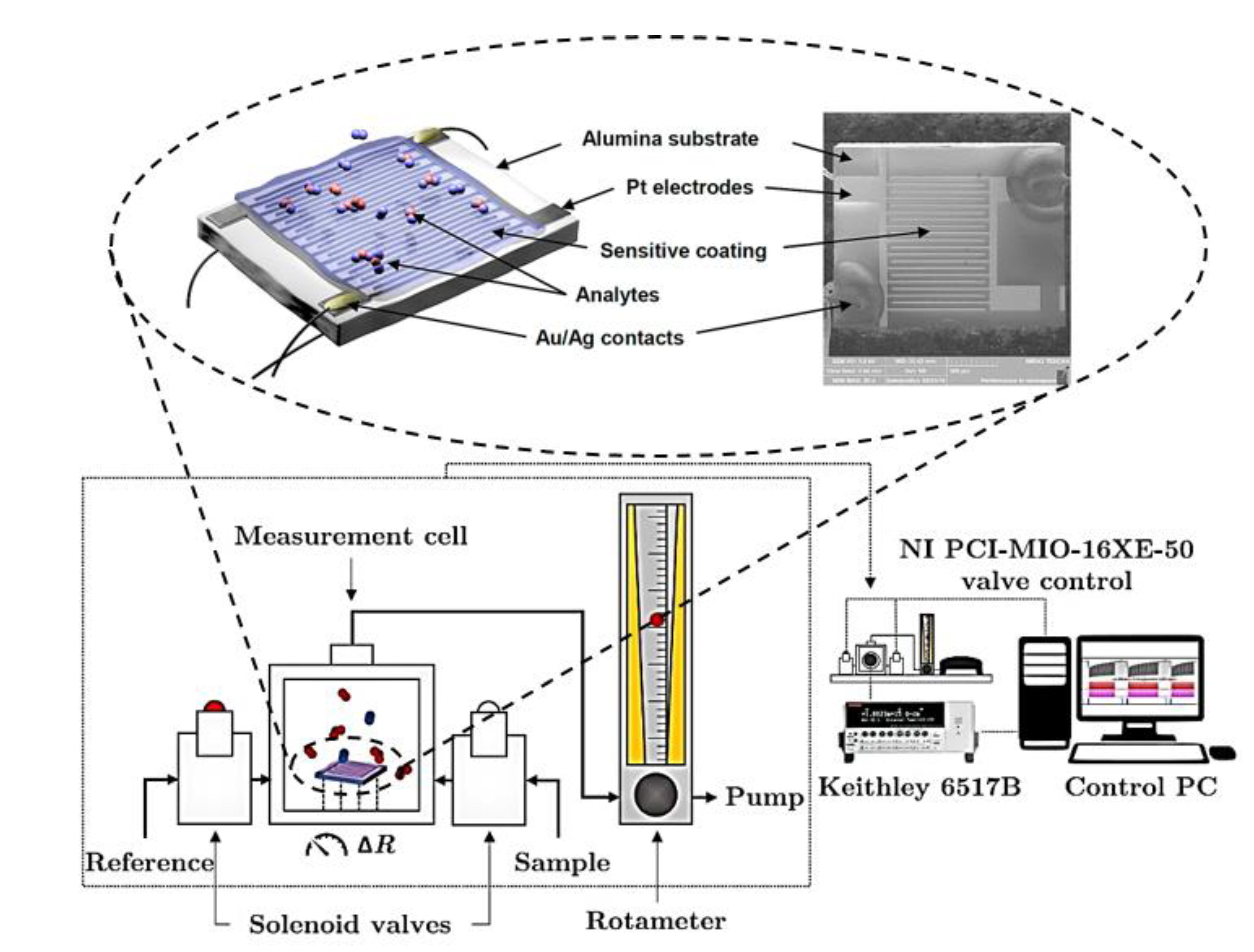 Chemosensors 09 00237 g001