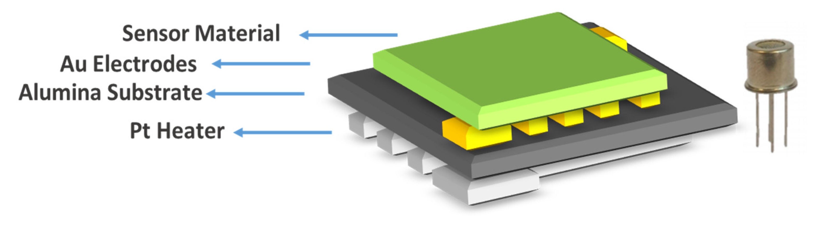 Chemosensors 09 00247 g001 550