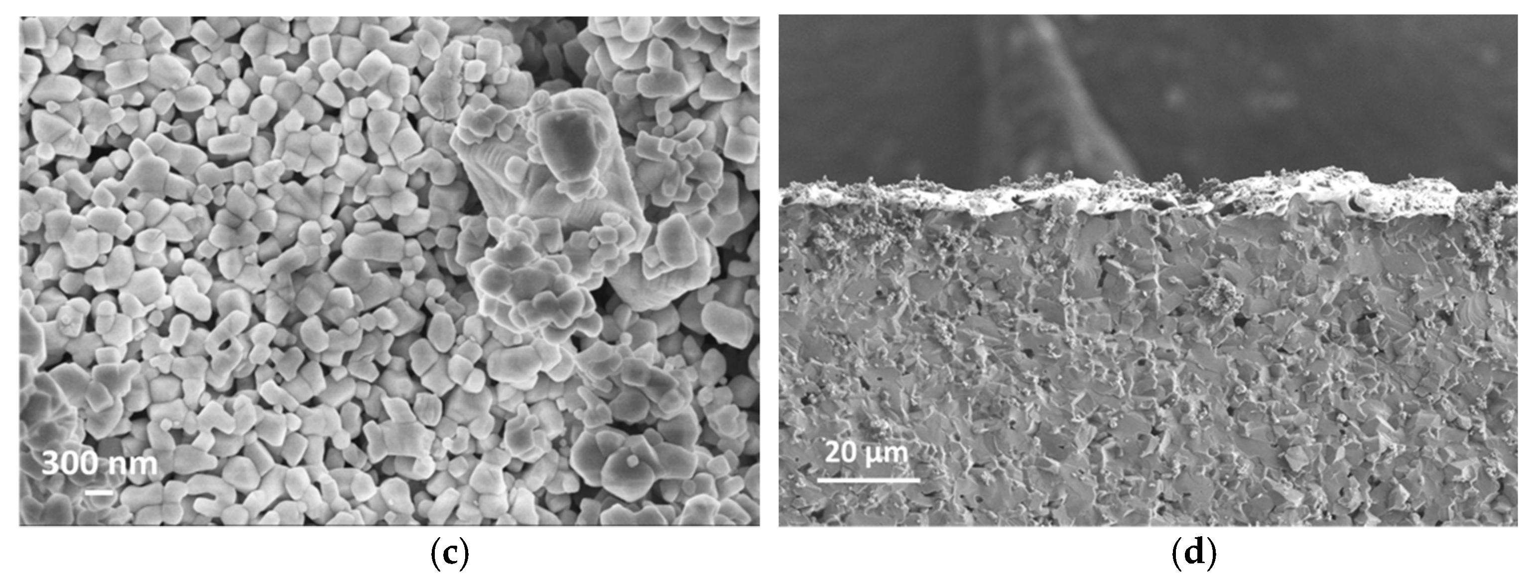 Chemosensors 09 00247 g005b 550