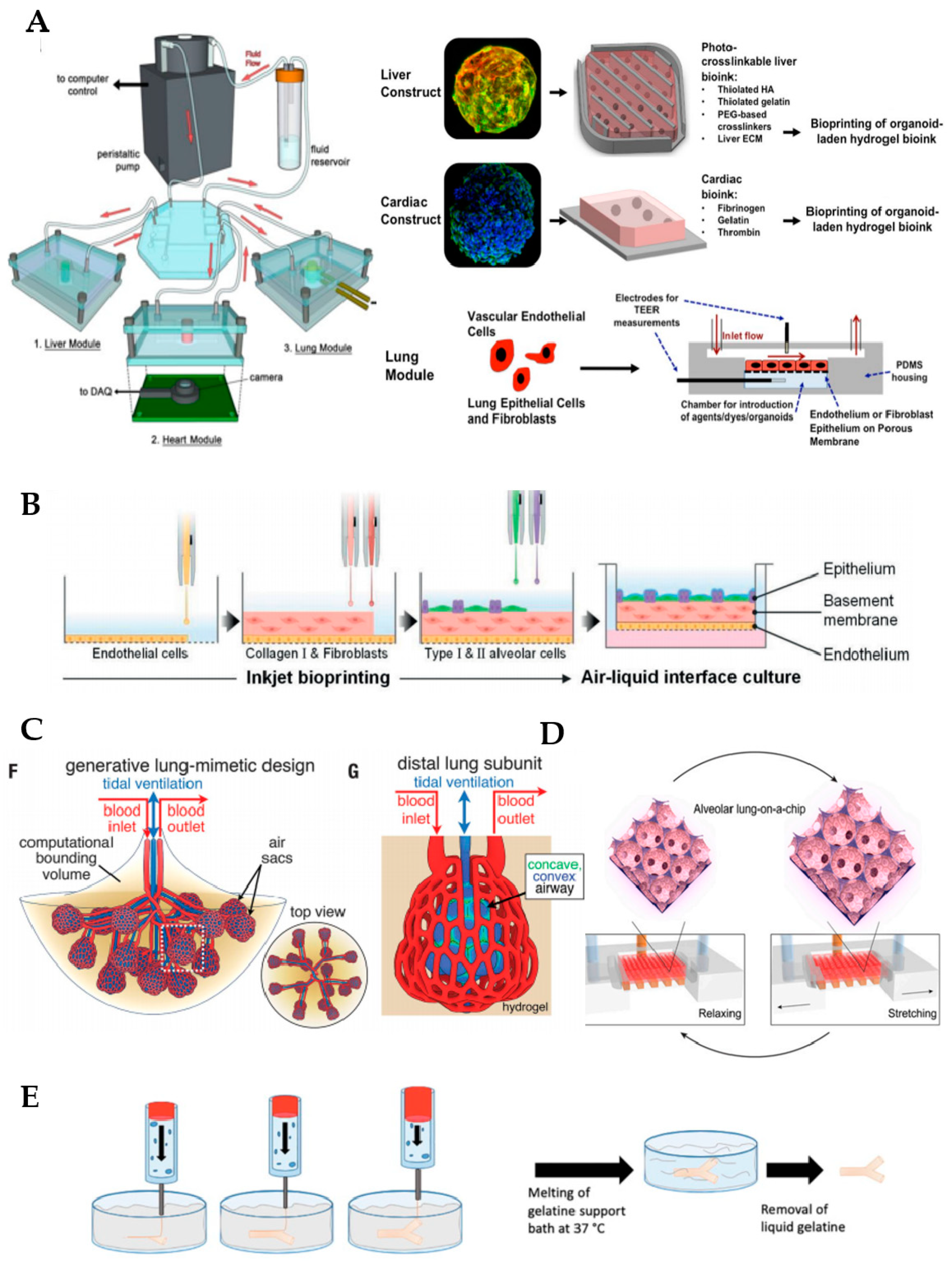 Chemosensors 09 00248 g002
