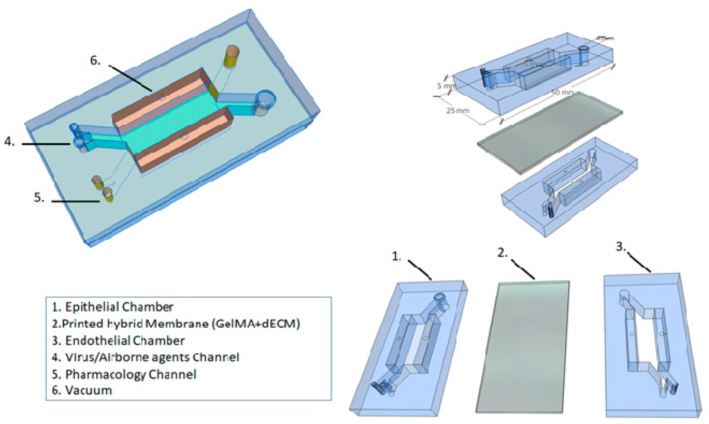 Chemosensors 09 00248 g003