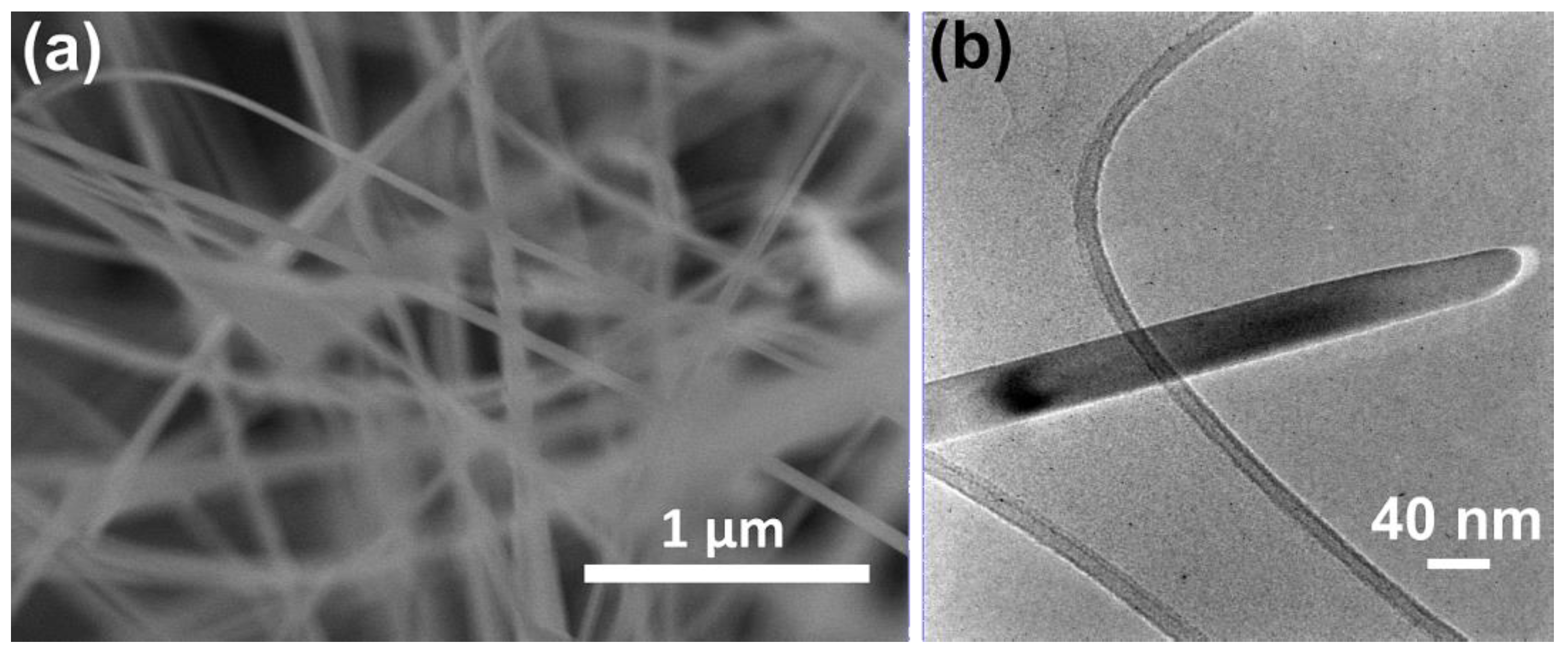 Chemosensors 09 00249 g001 550