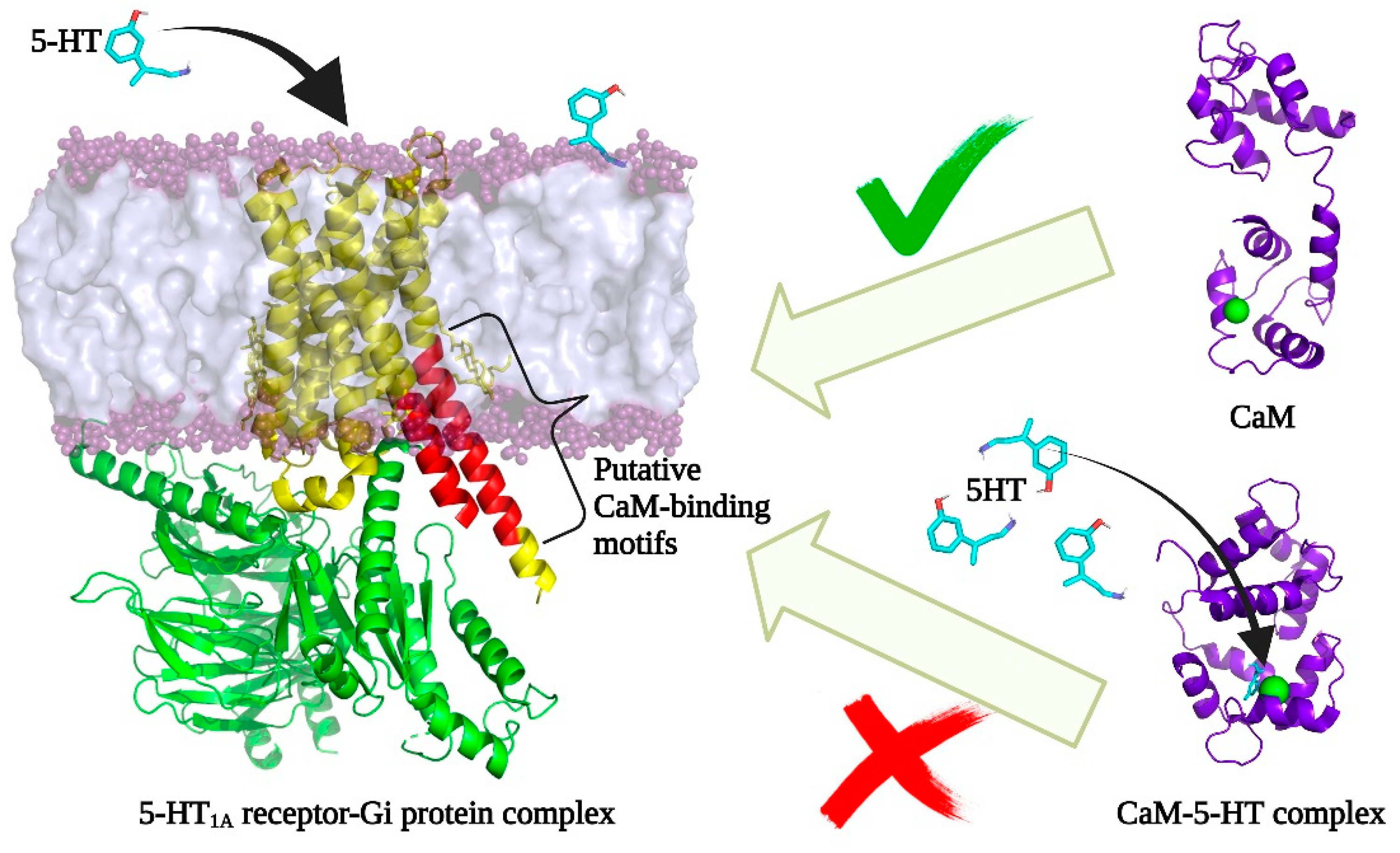 Chemosensors 09 00250 g005
