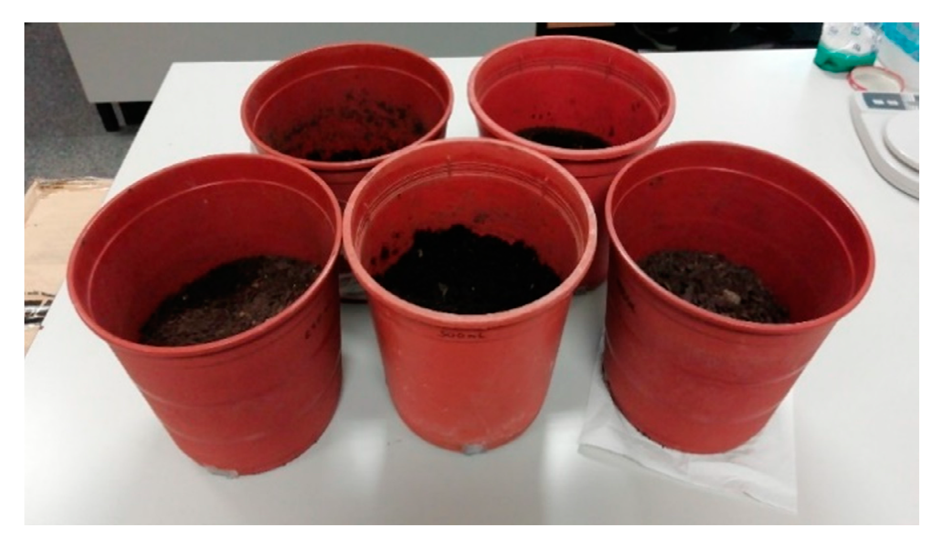 Chemosensors 09 00251 g004 550