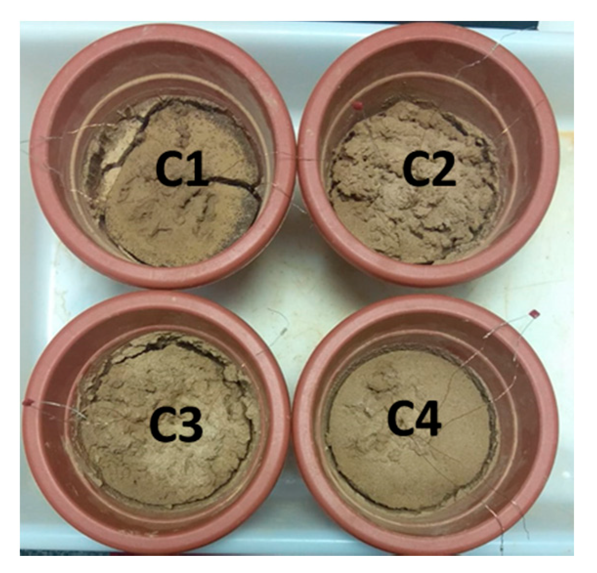 Chemosensors 09 00251 g007 550