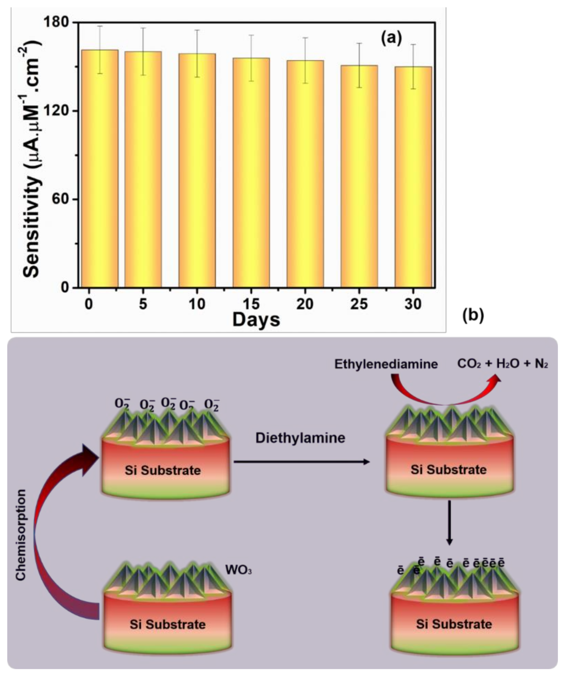 Chemosensors 09 00257 g010