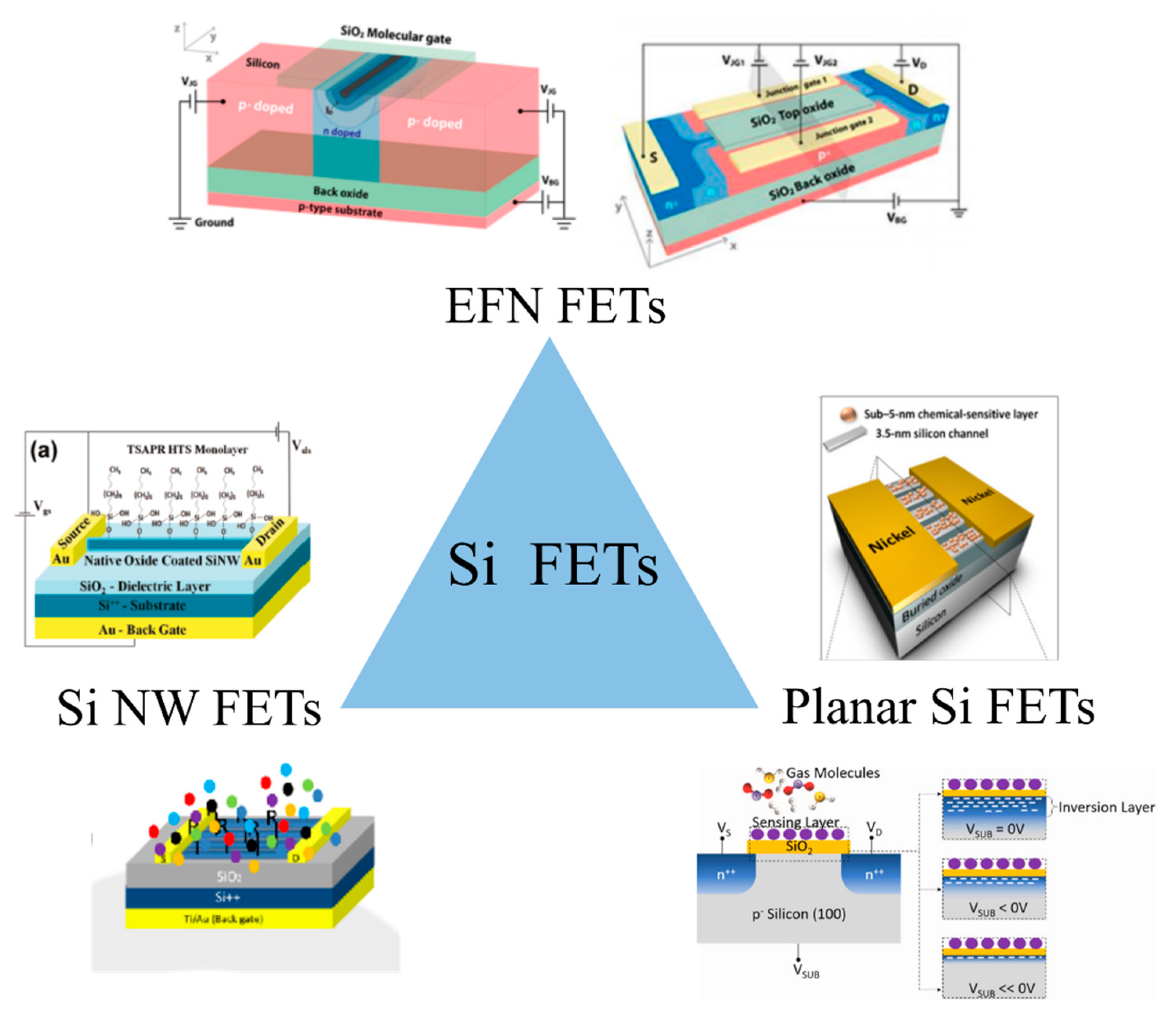 Chemosensors 09 00260 g001