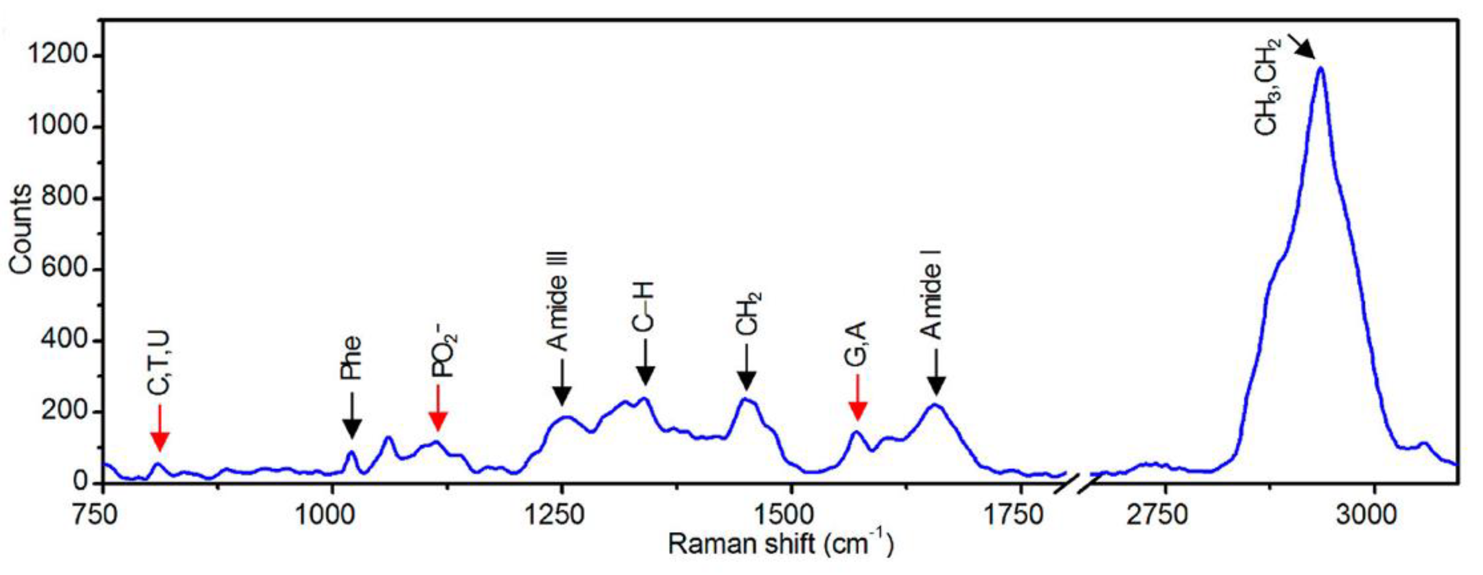 Chemosensors 09 00262 g006
