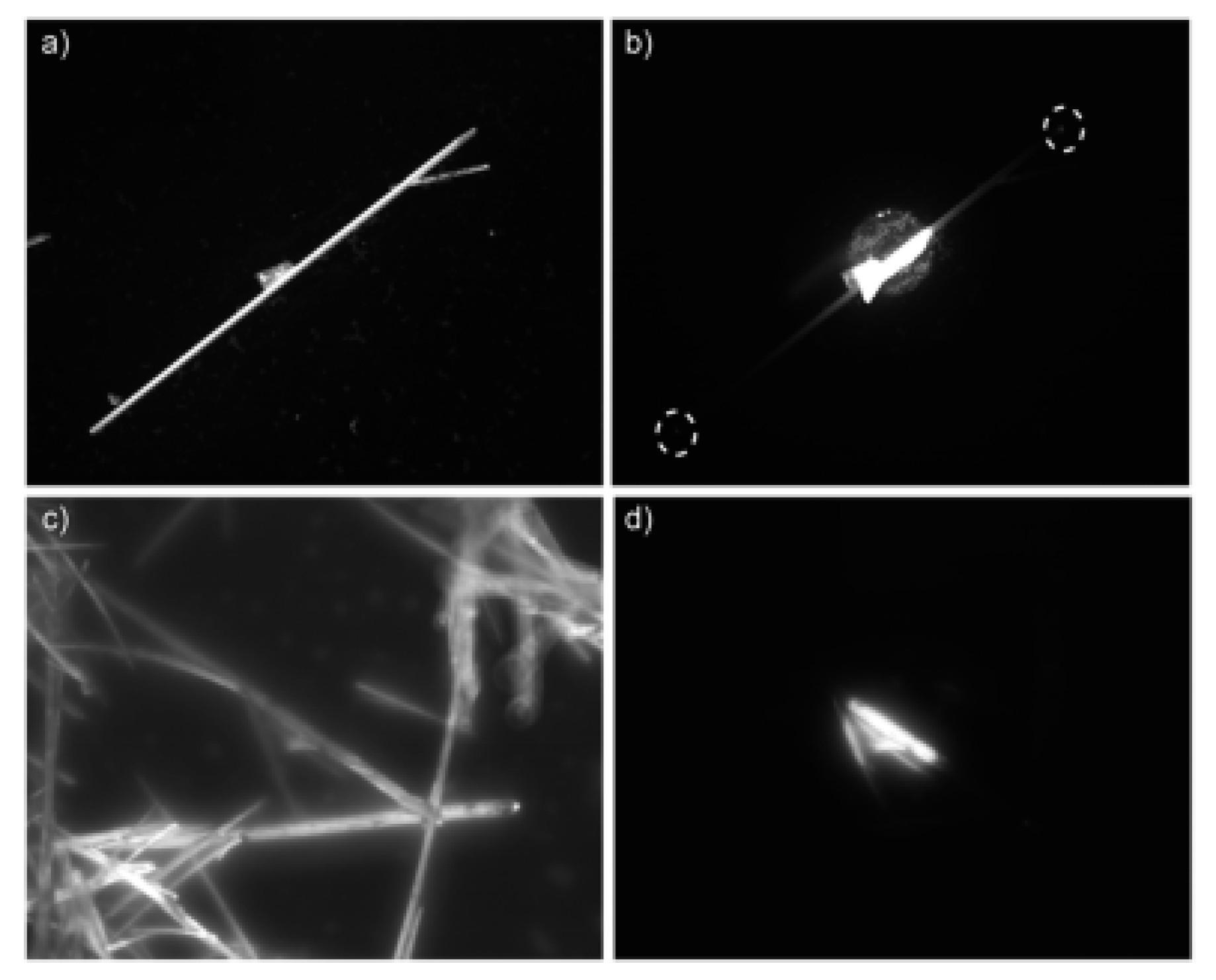 Chemosensors 09 00267 g002