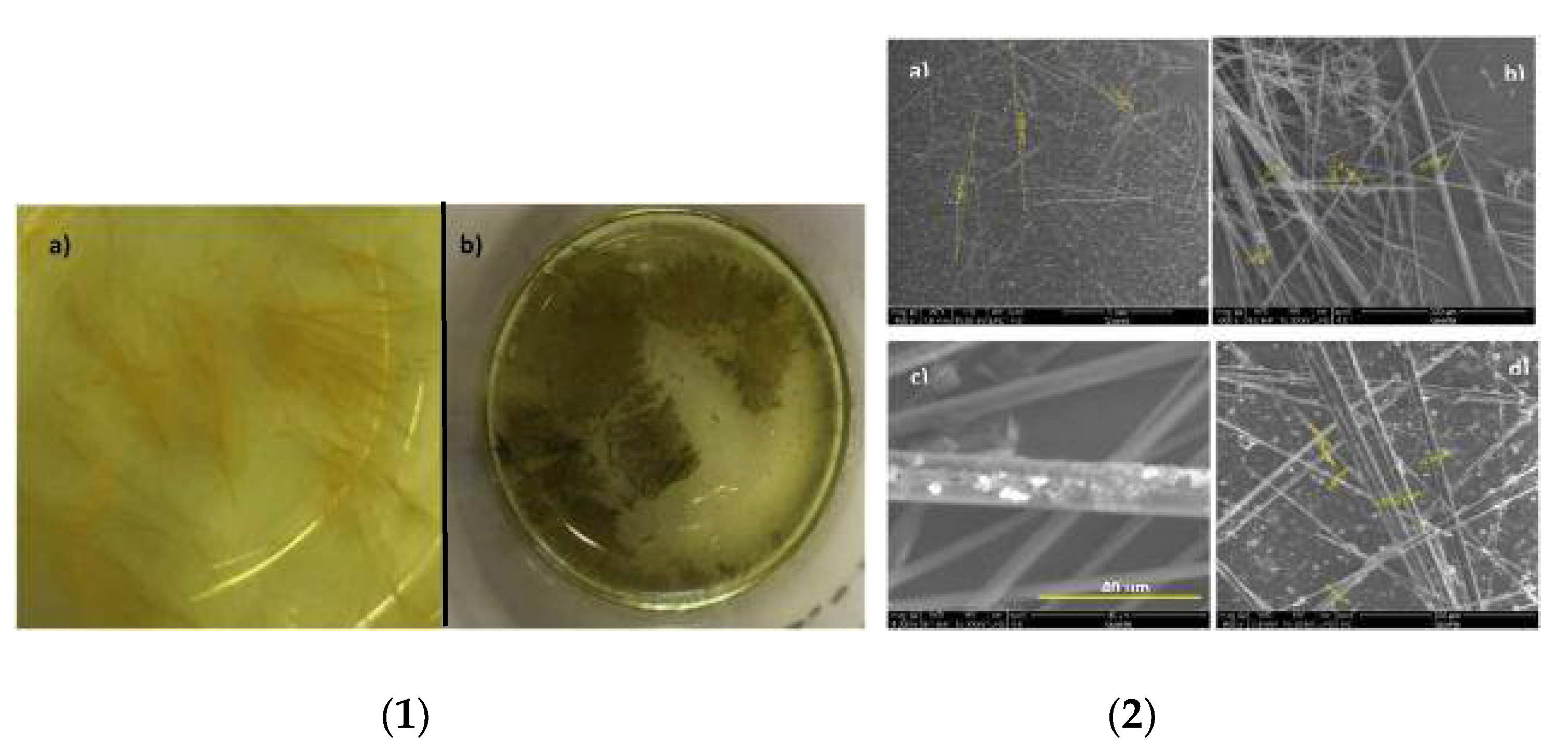 Chemosensors 09 00267 g004