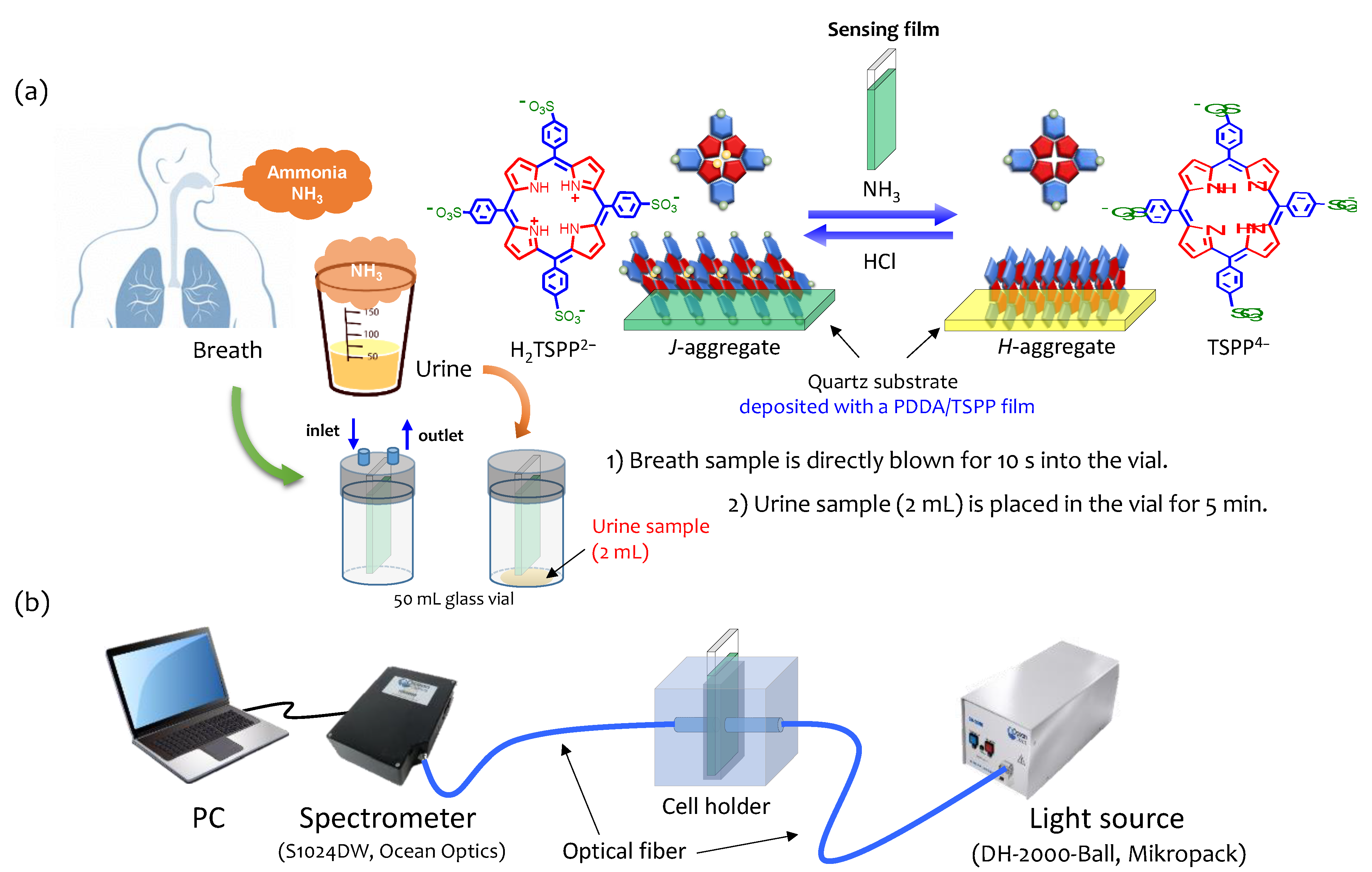 Chemosensors 09 00269 g002