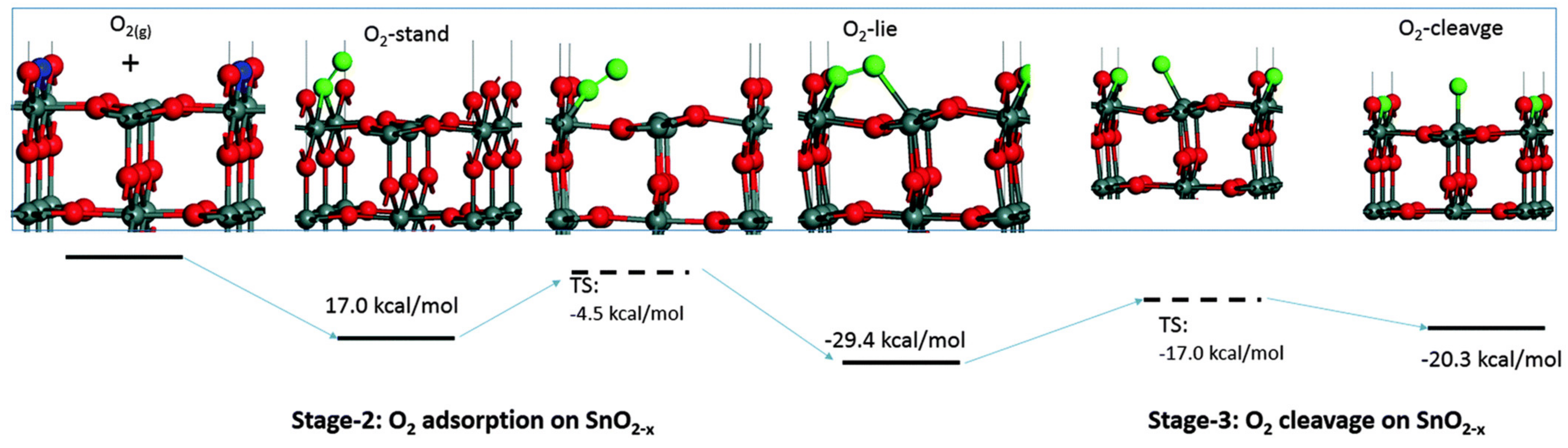 Chemosensors 09 00270 g002