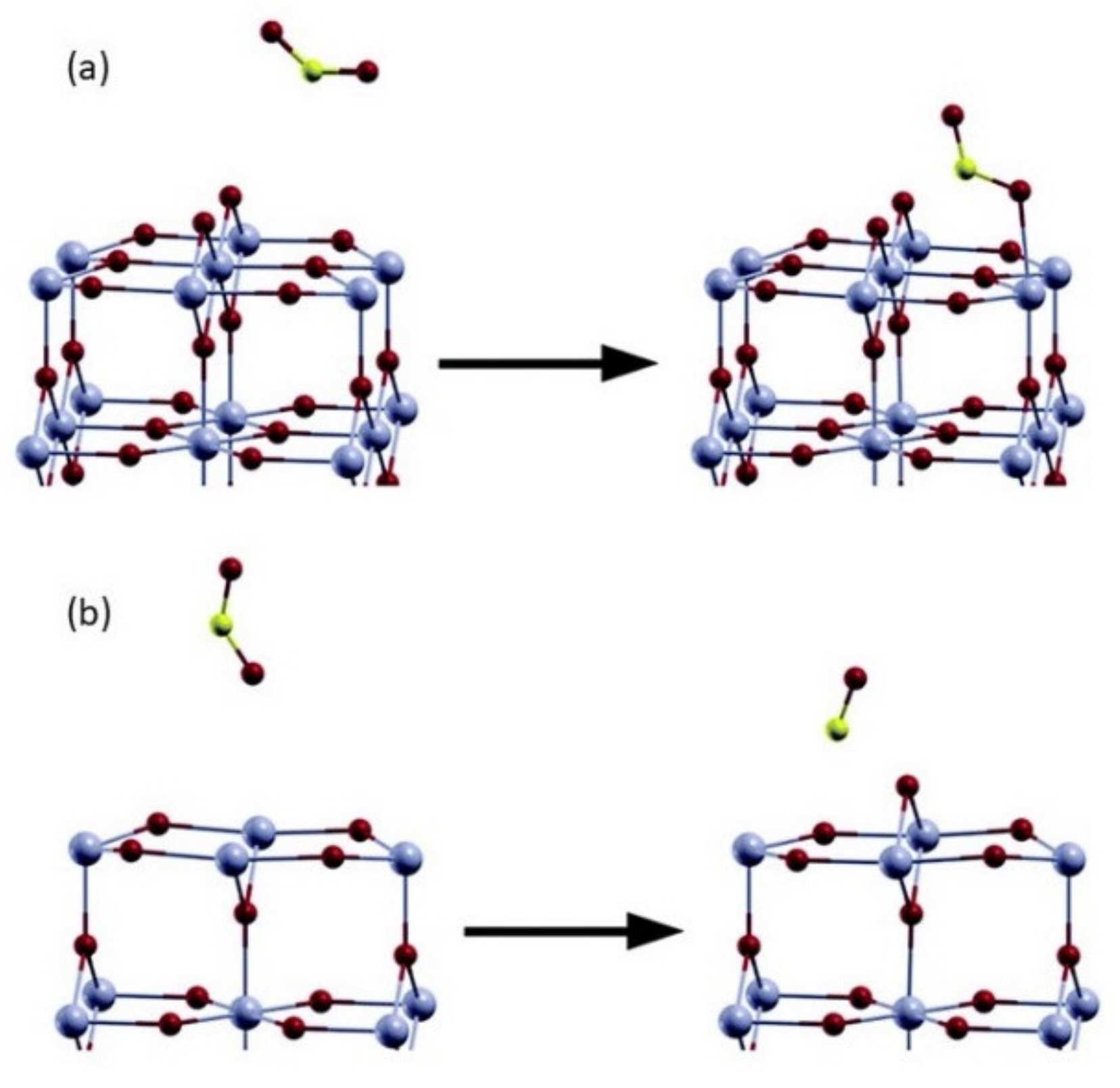 Chemosensors 09 00270 g012