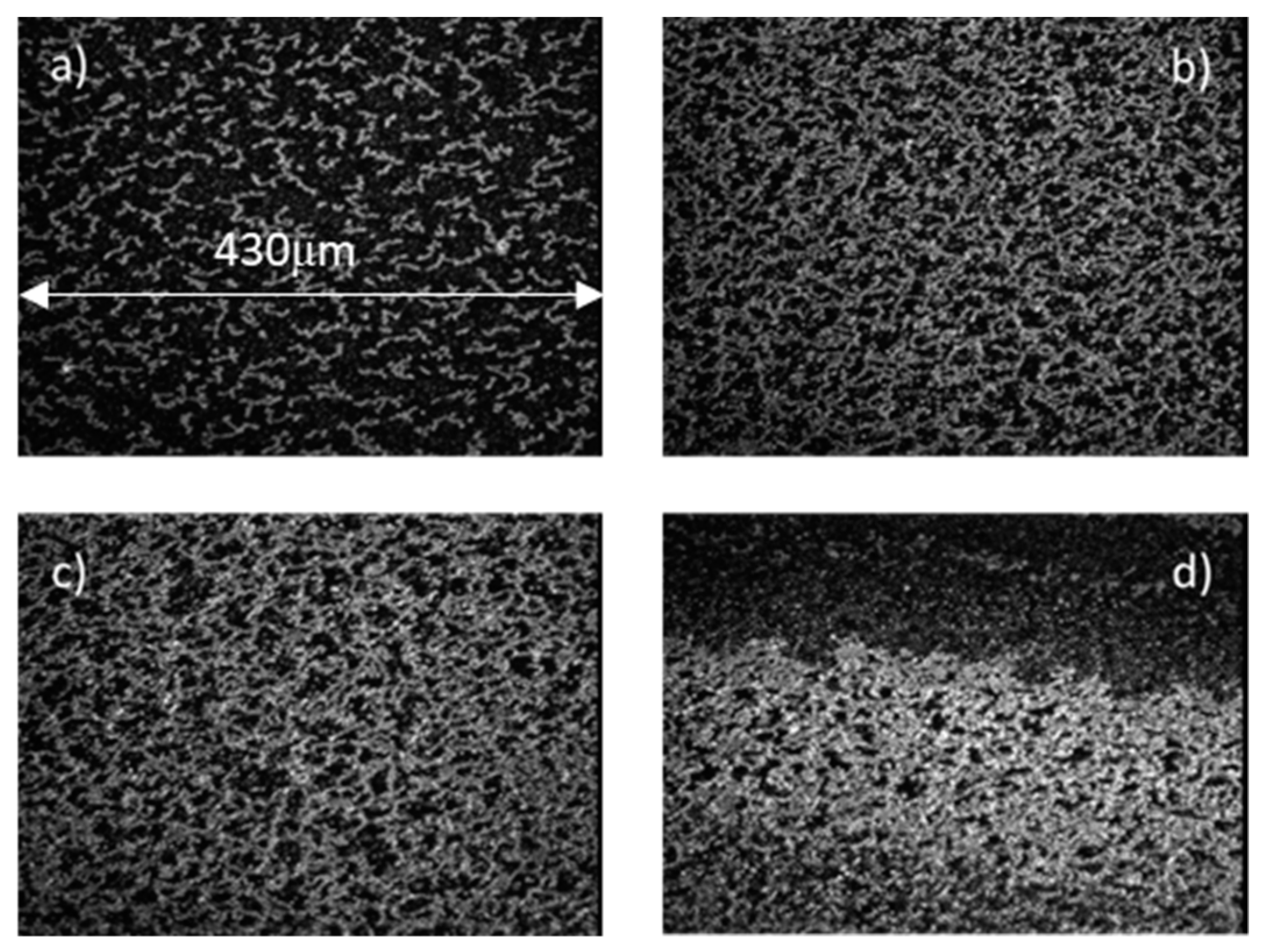 Chemosensors 09 00272 g003 550