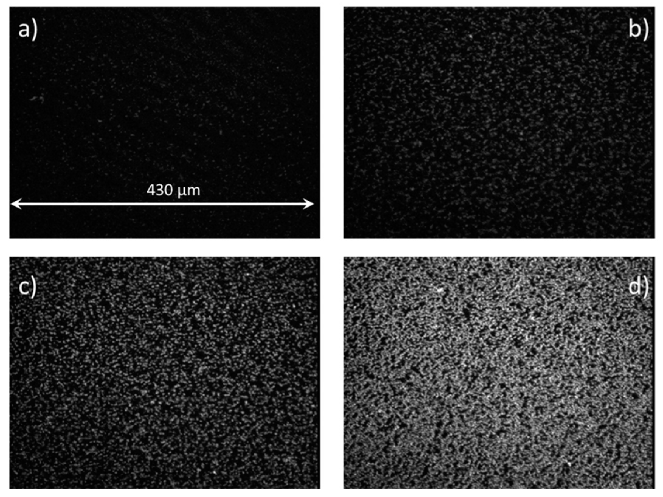 Chemosensors 09 00272 g004 550