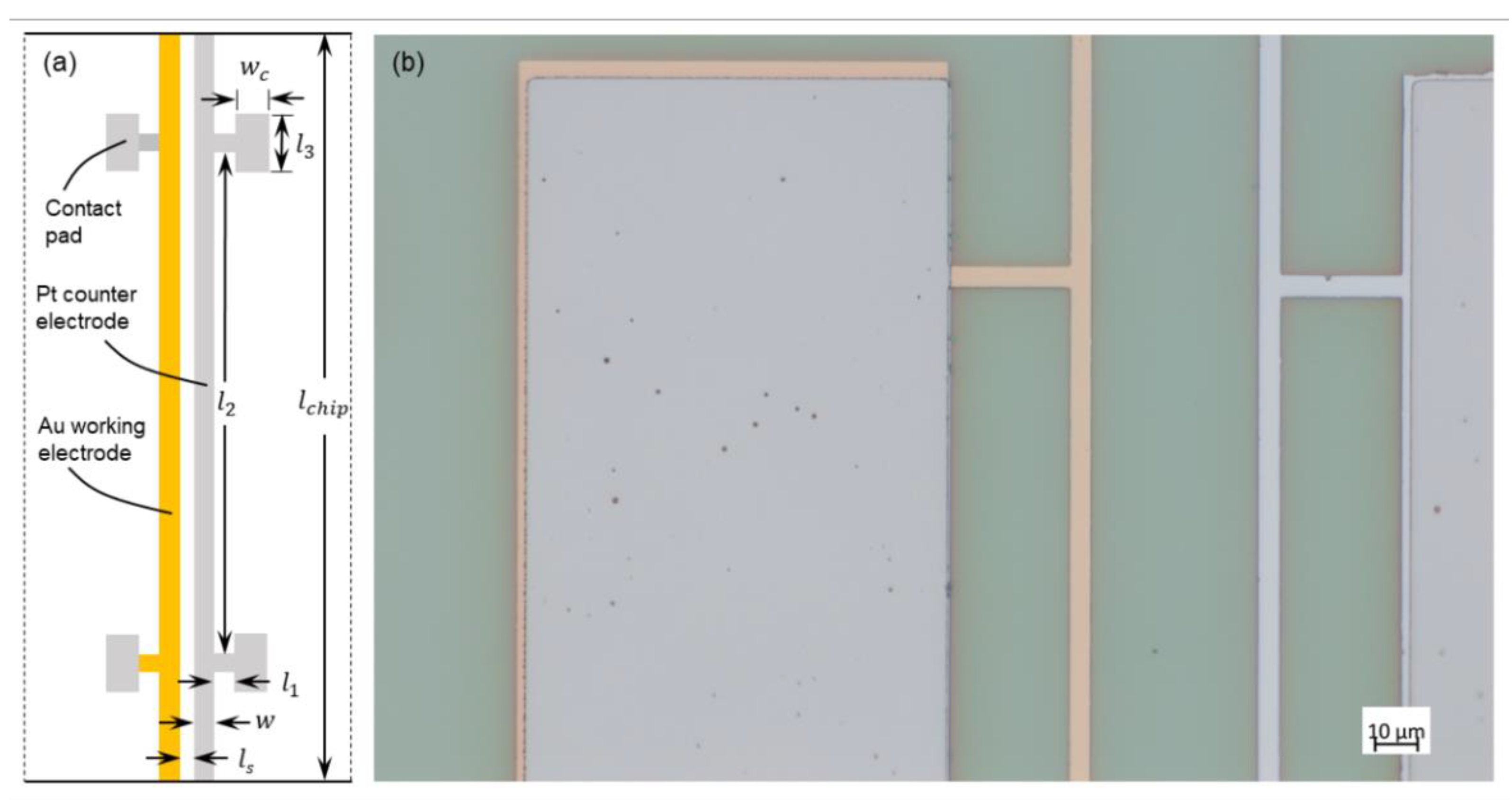 Chemosensors 09 00277 g001 Chemosensors 09 00277 g001