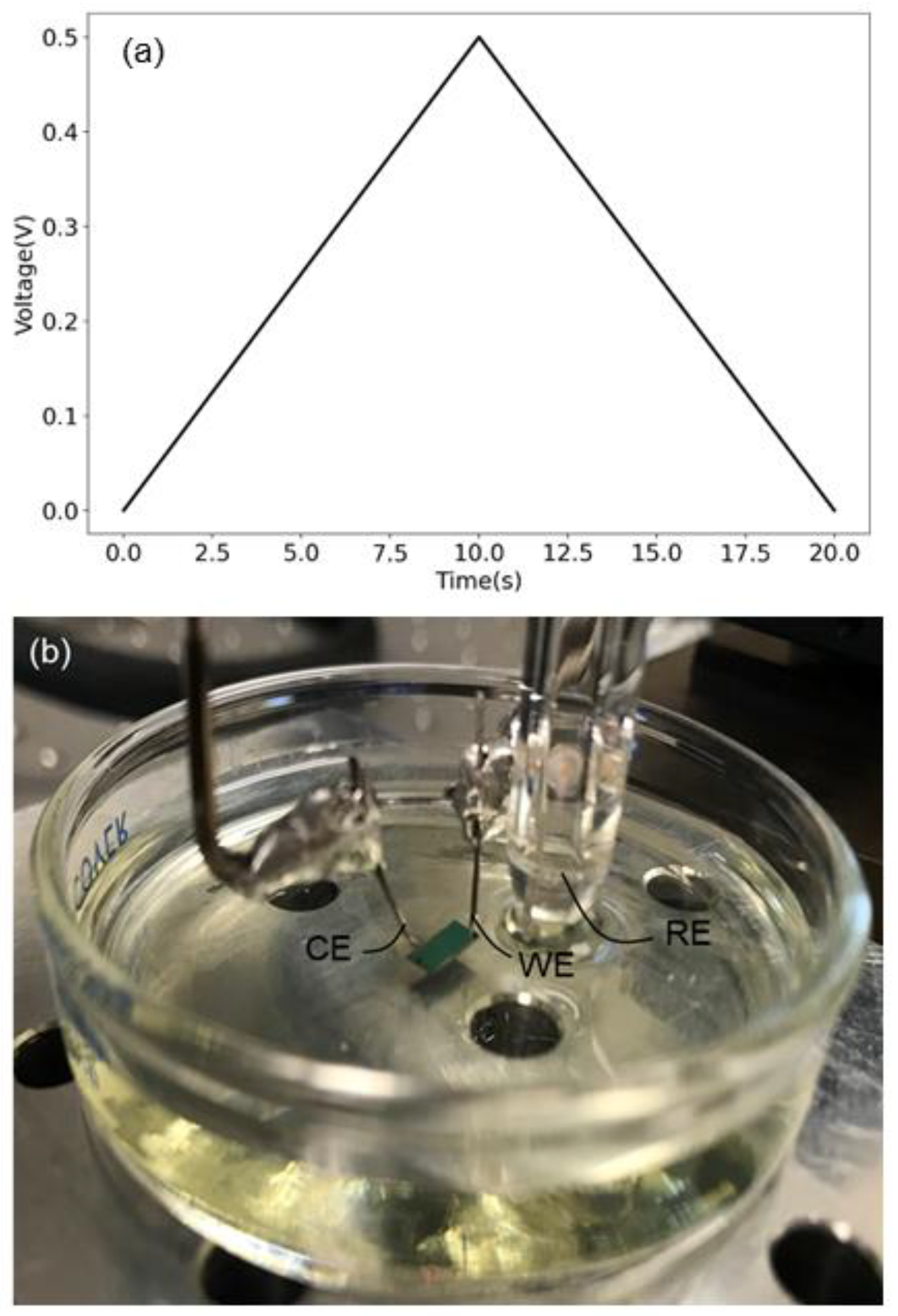 Chemosensors 09 00277 g0a1 Chemosensors 09 00277 g0a1
