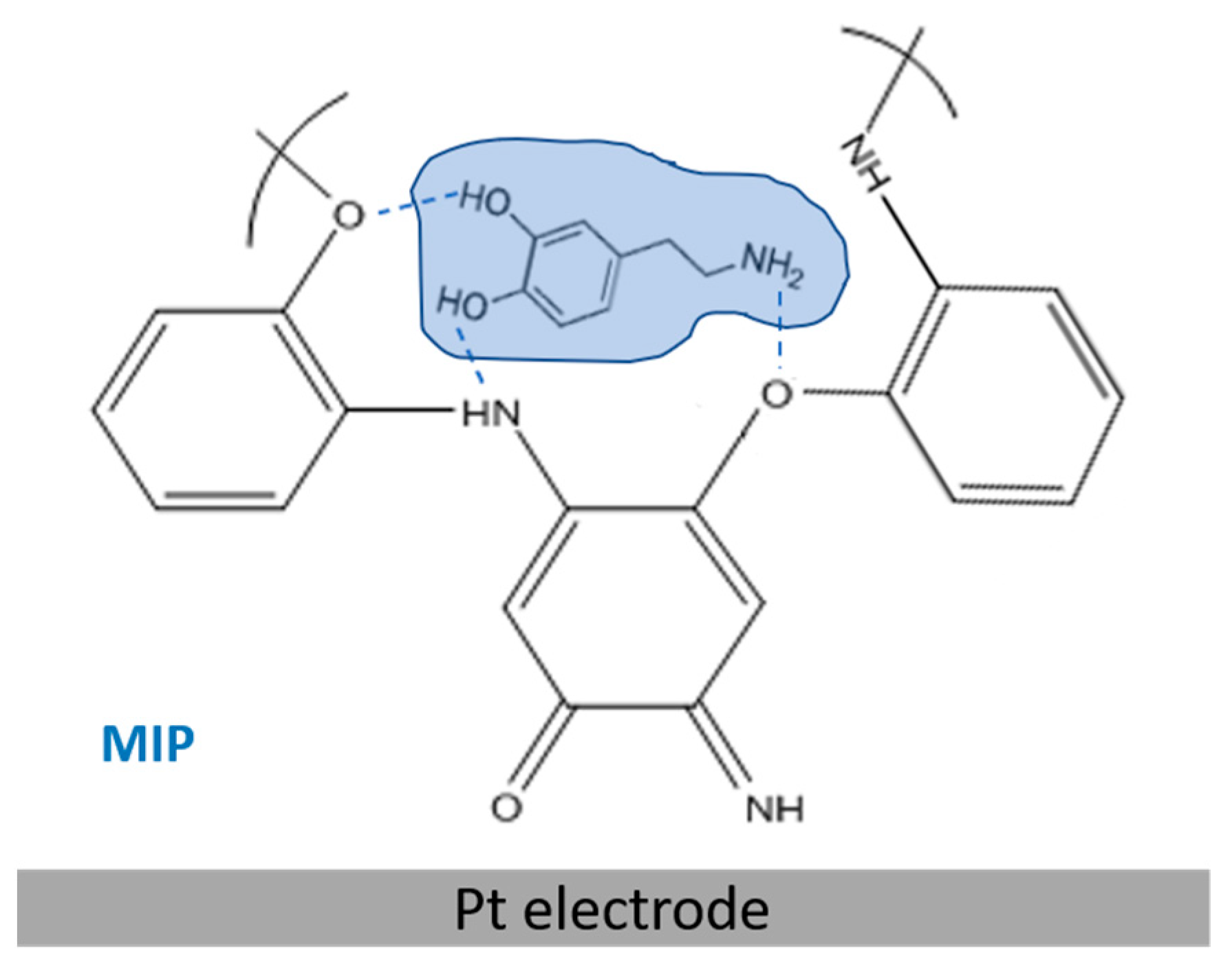 Chemosensors 09 00280 sch001 550