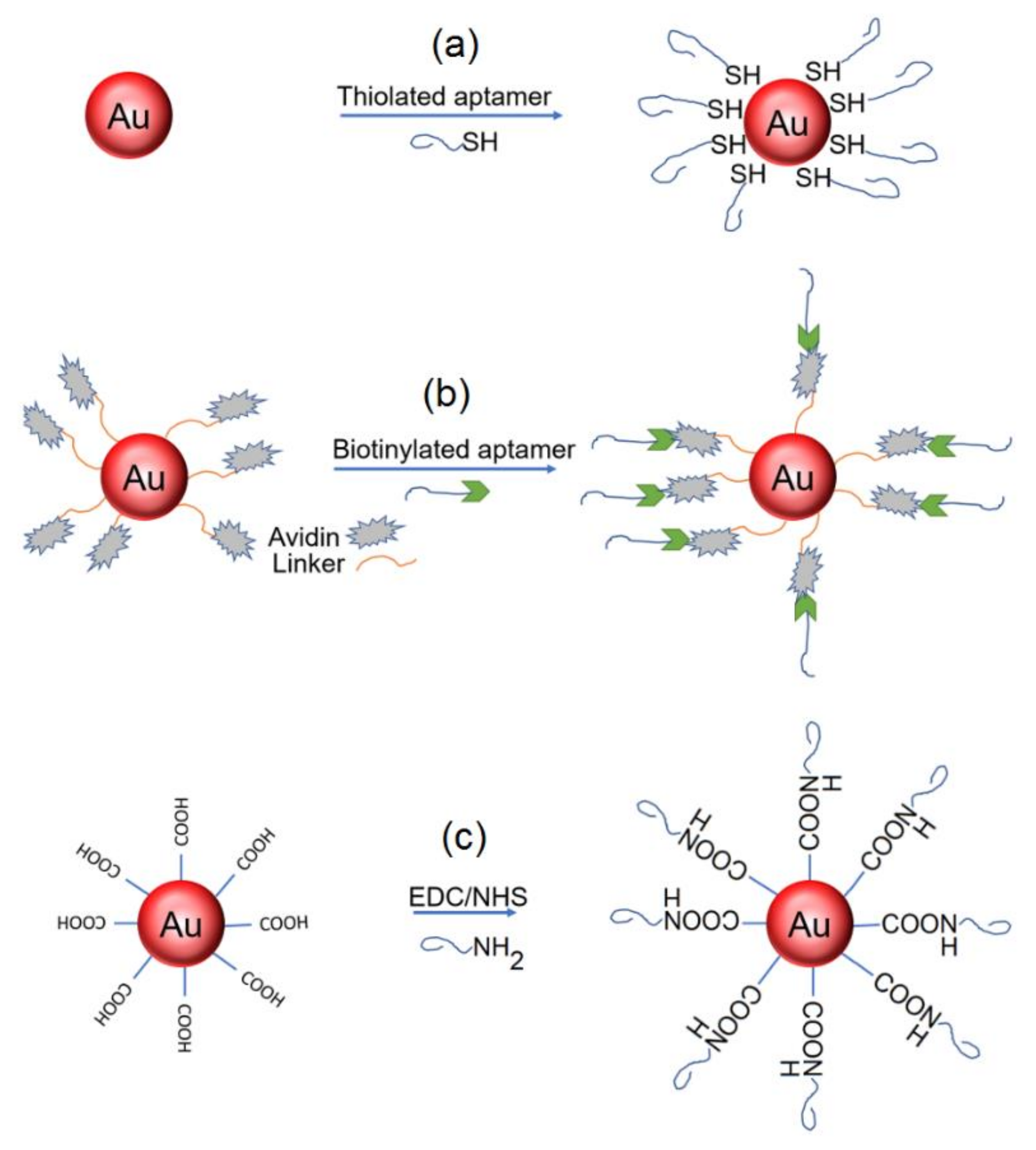 Chemosensors 09 00281 g004 550