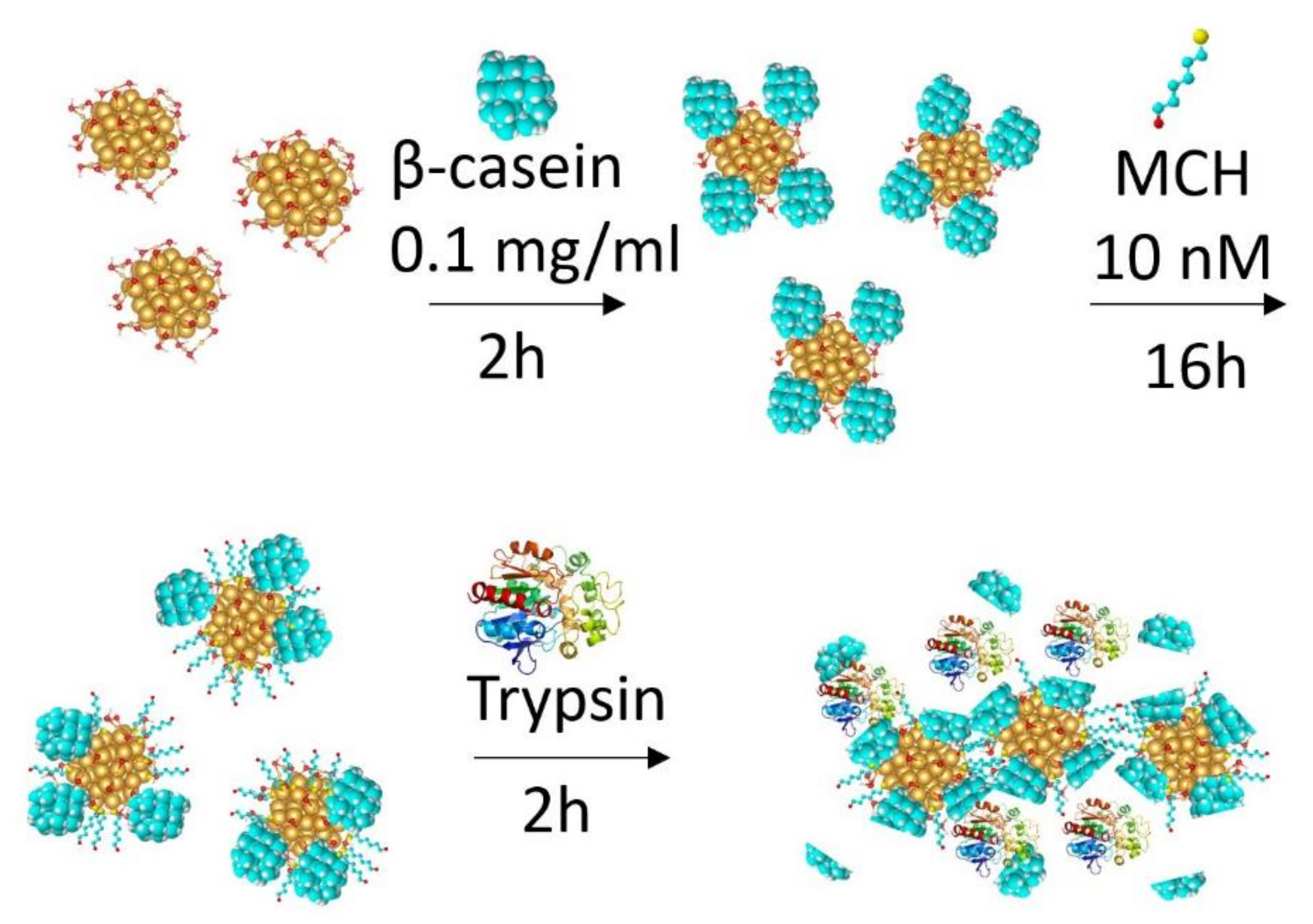 Chemosensors 09 00281 g006 550