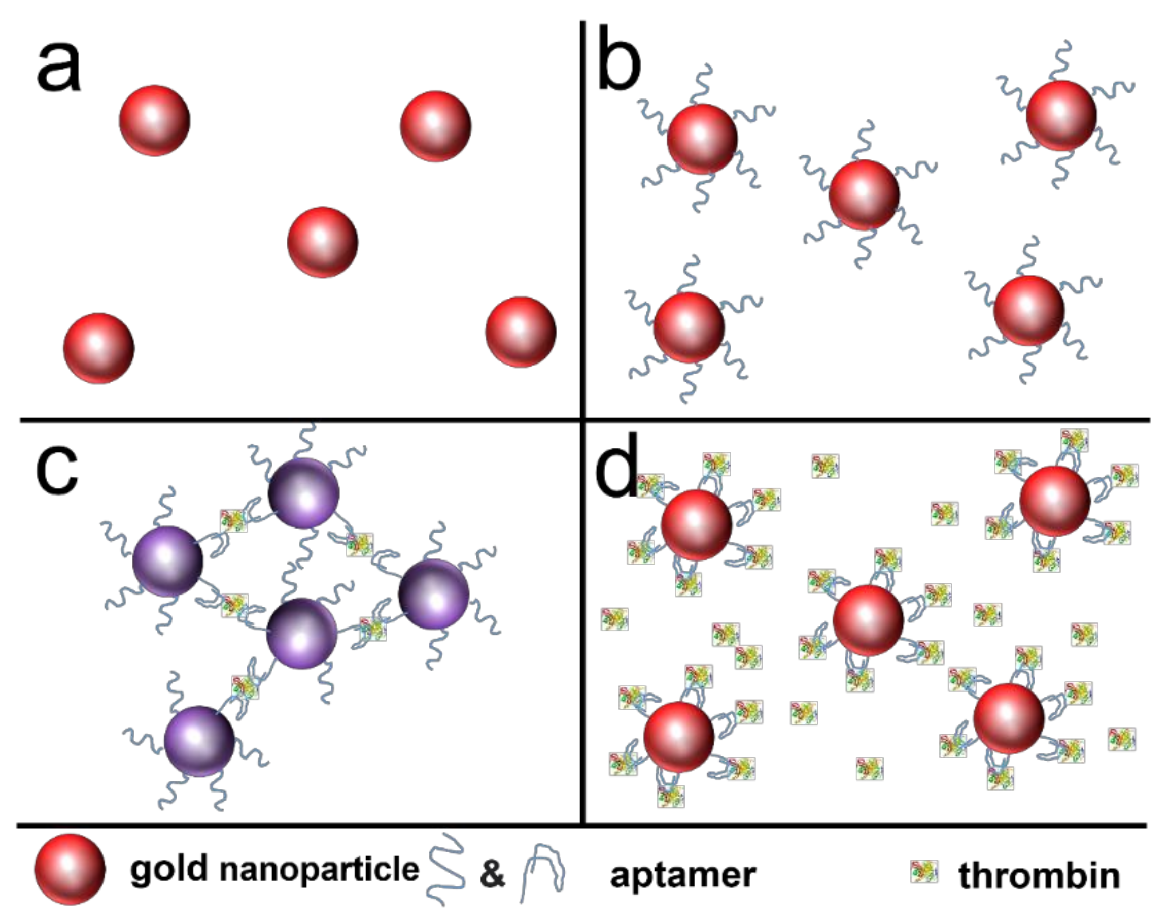 Chemosensors 09 00281 g010 550
