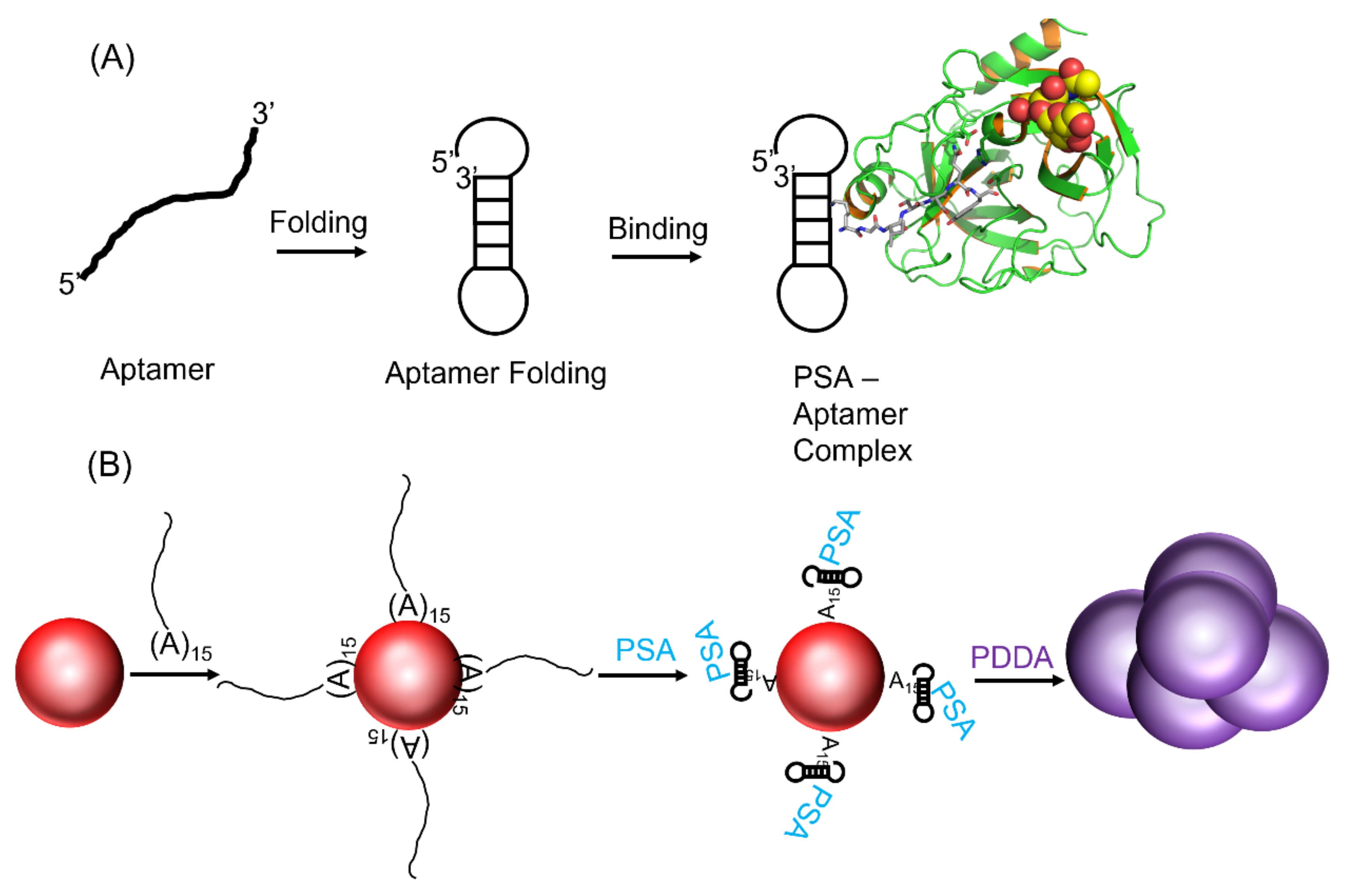 Chemosensors 09 00281 g011 550