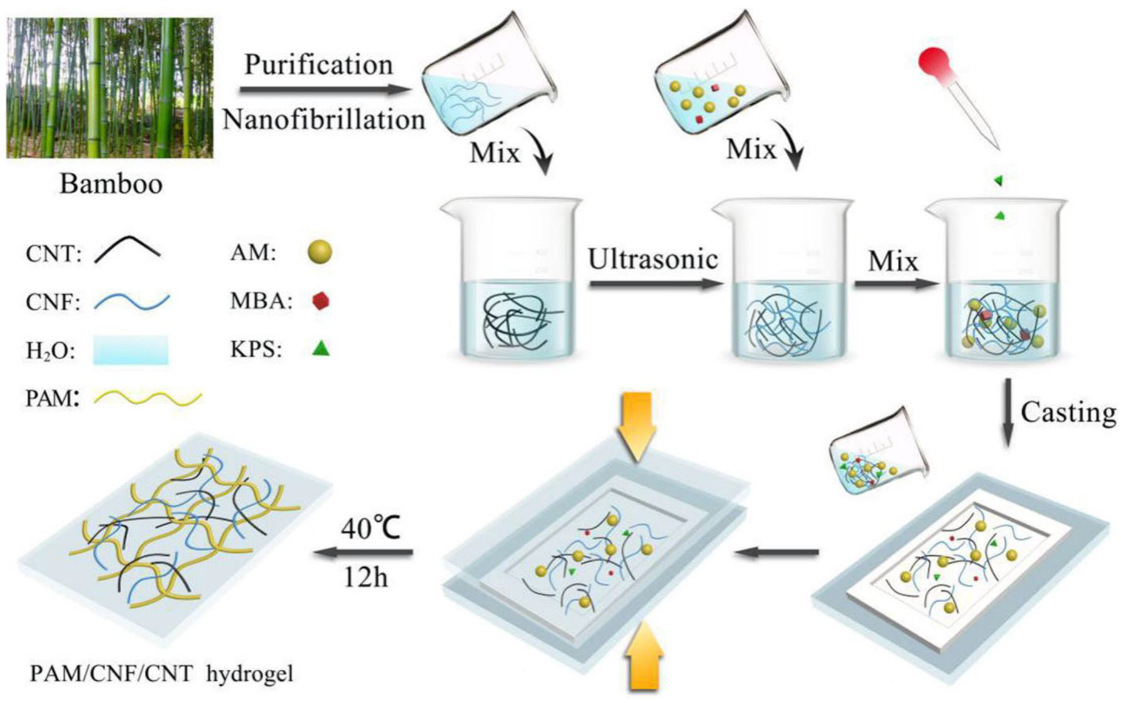 Chemosensors 09 00282 g004